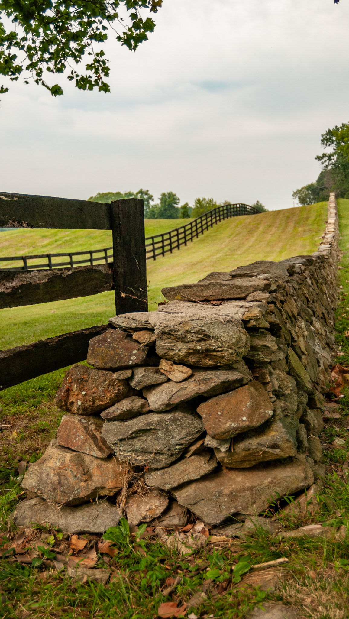 This type of fence is common in Virginia. It runs along the road creating a nice galloping track between it and the wooden paddock fence.