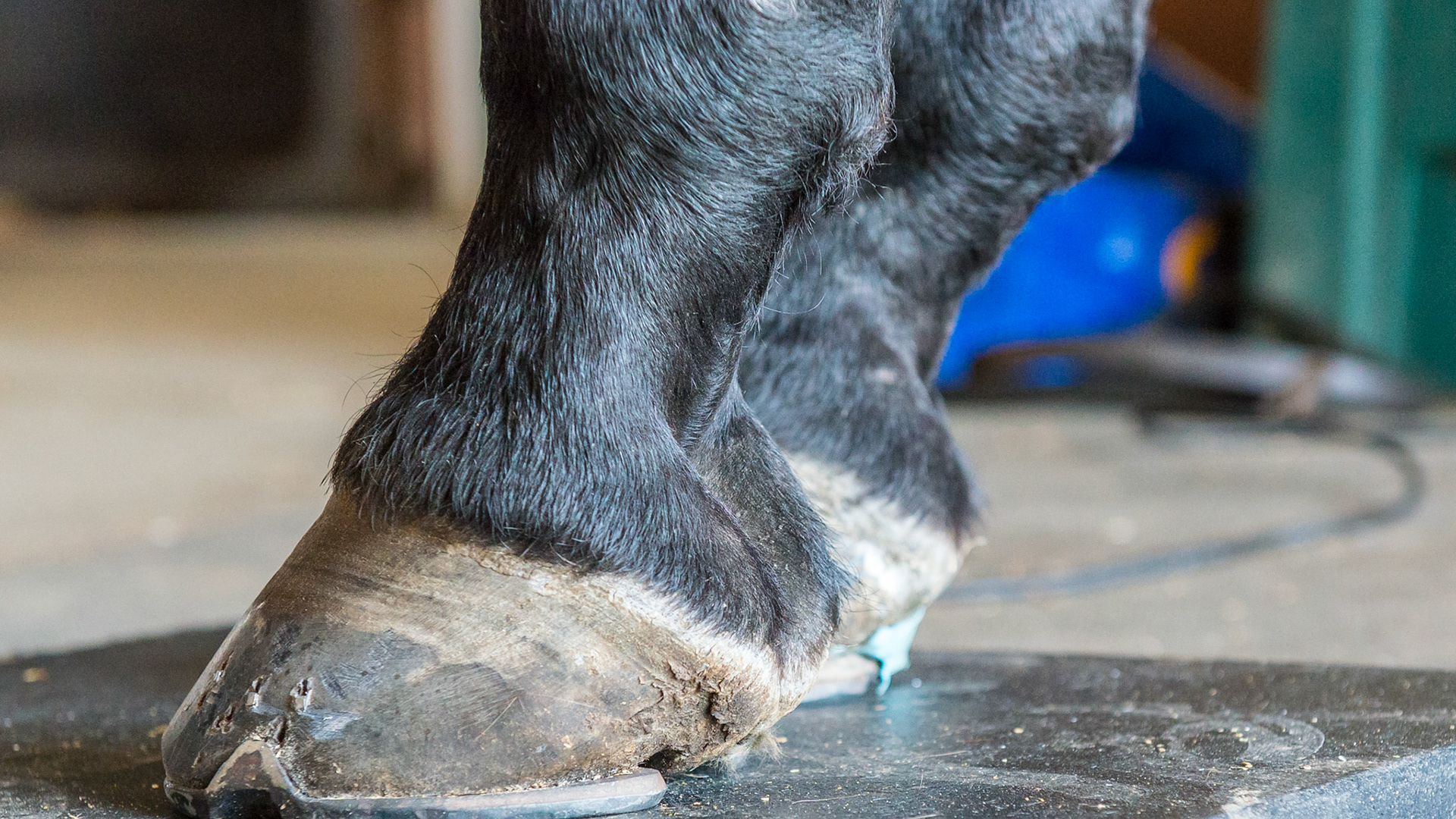 Pulsing magnetic therapy plate.