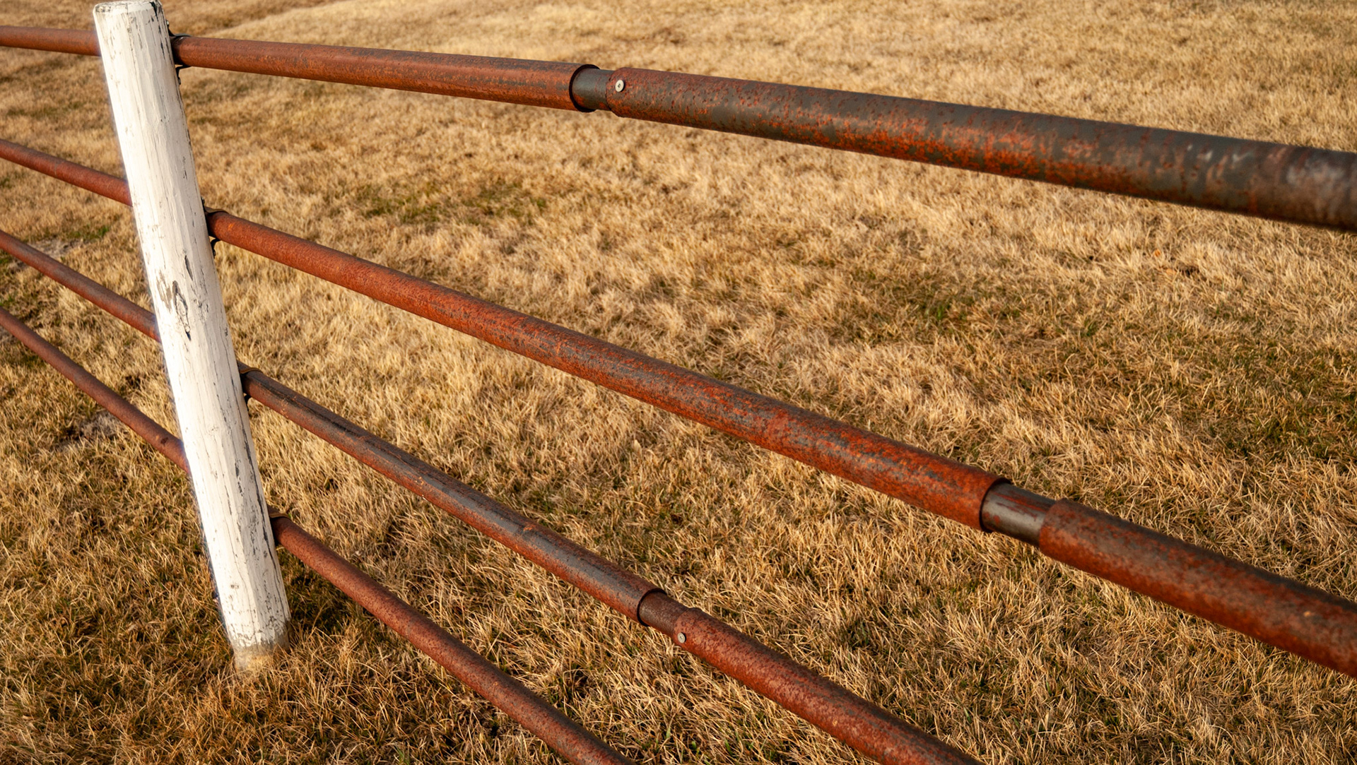 Surplus industrial pipe used to make a fence.