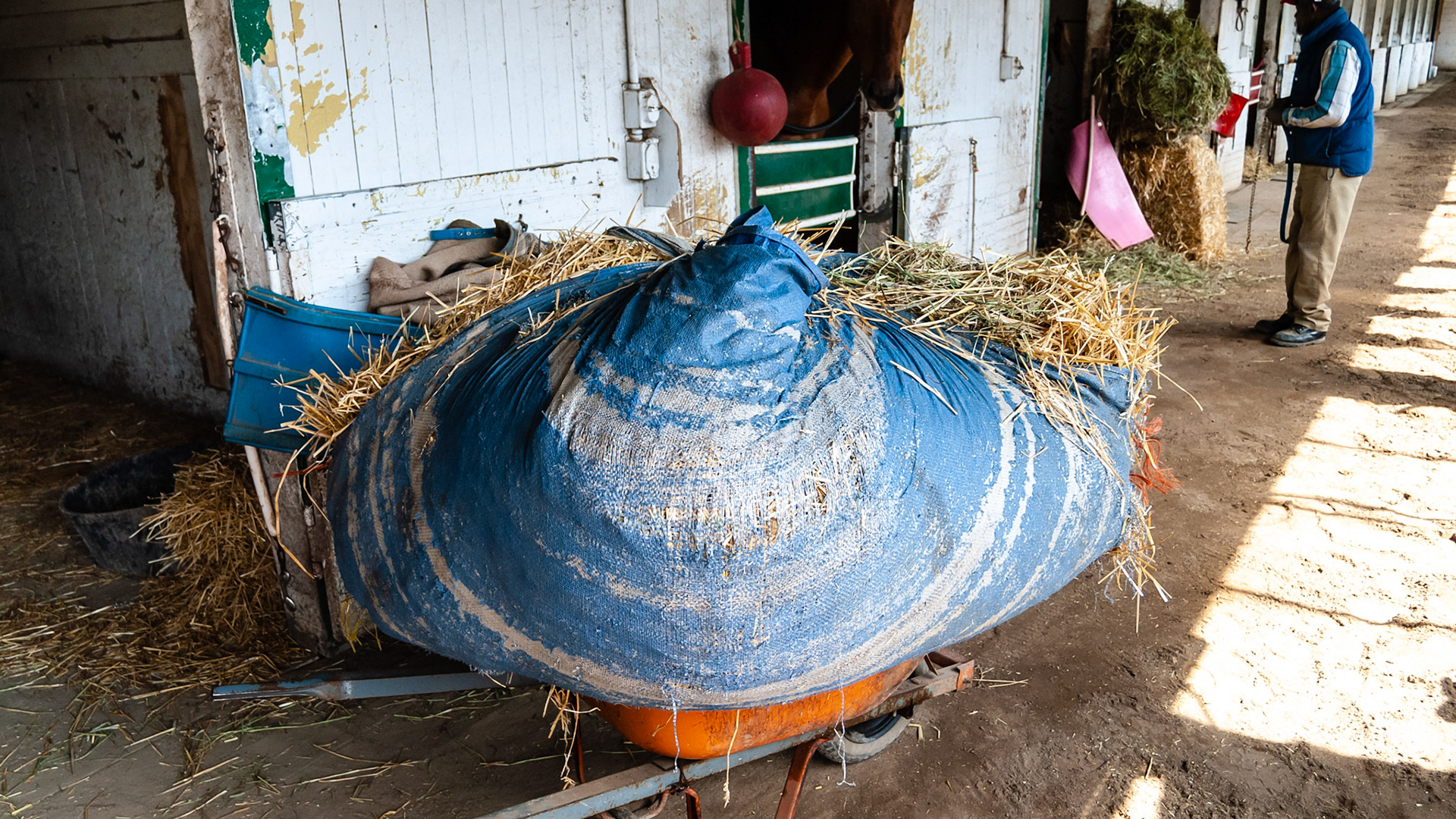 Tarp used at Belmont race track is the old fashioned way of moving stall waste.
