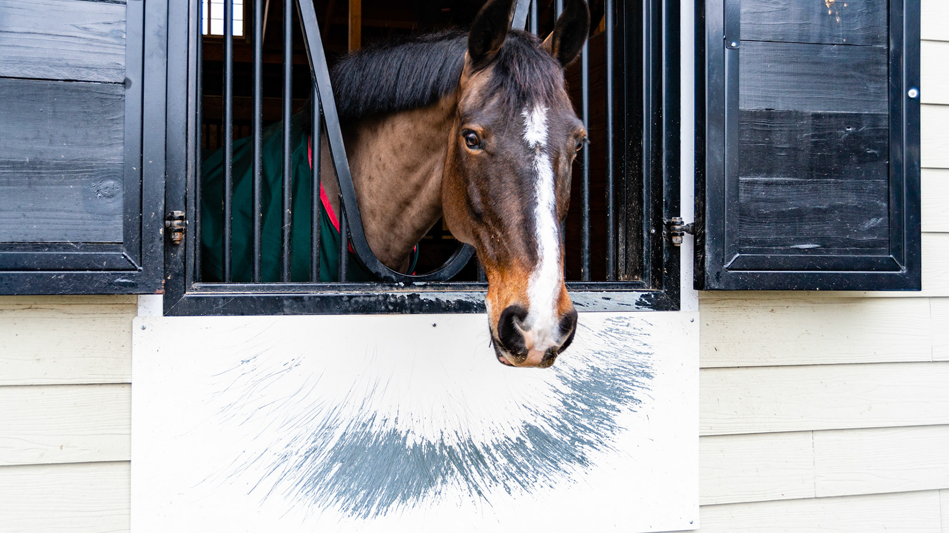 Stable vice - self trauma and property damage.