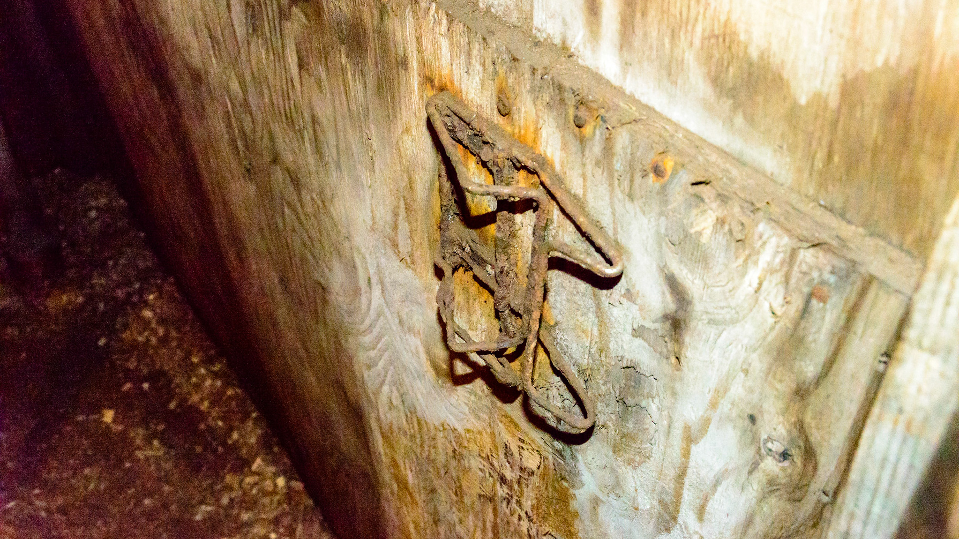 Crushed salt block holders are common and can easily tear flesh and skin.