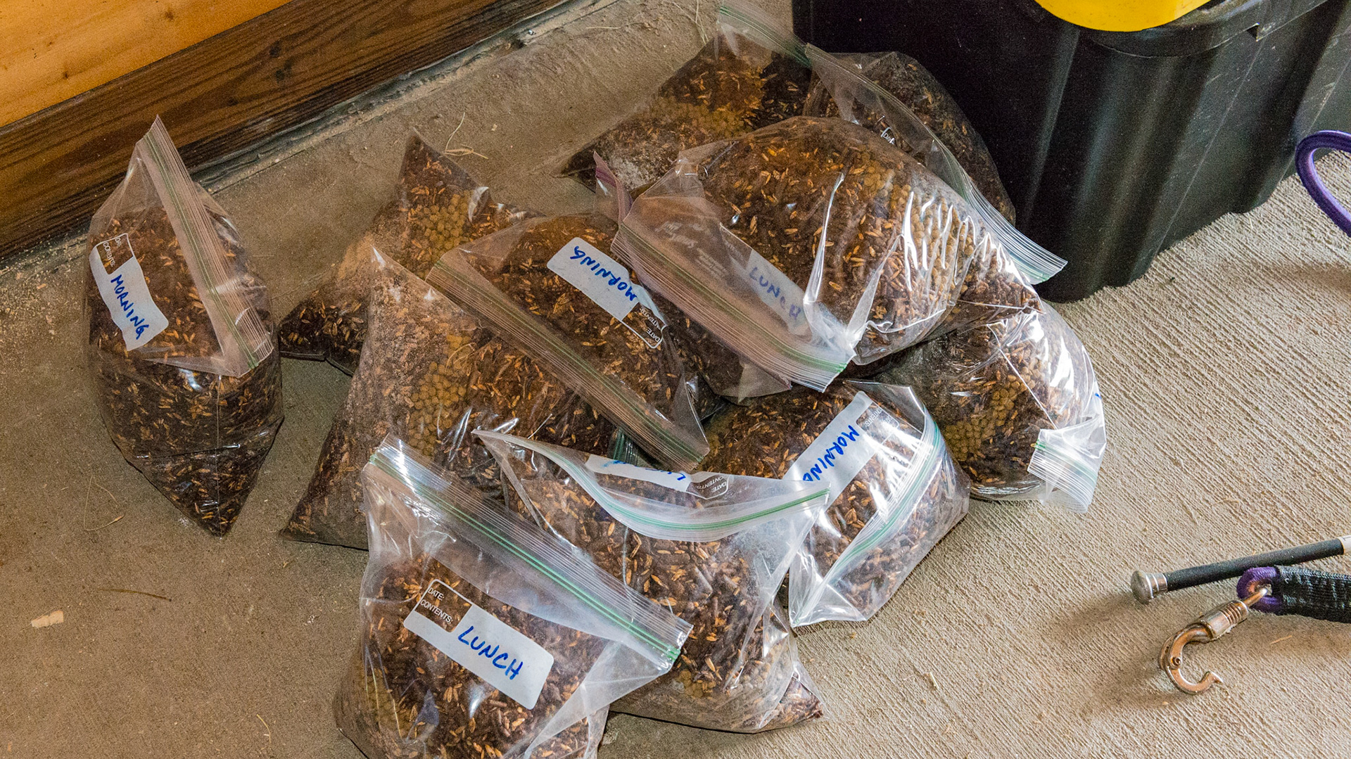 Each meal is bagged and labled with the time for feeding. Necessary in a boarding barn where compliance was poor in this horse owner's experience.