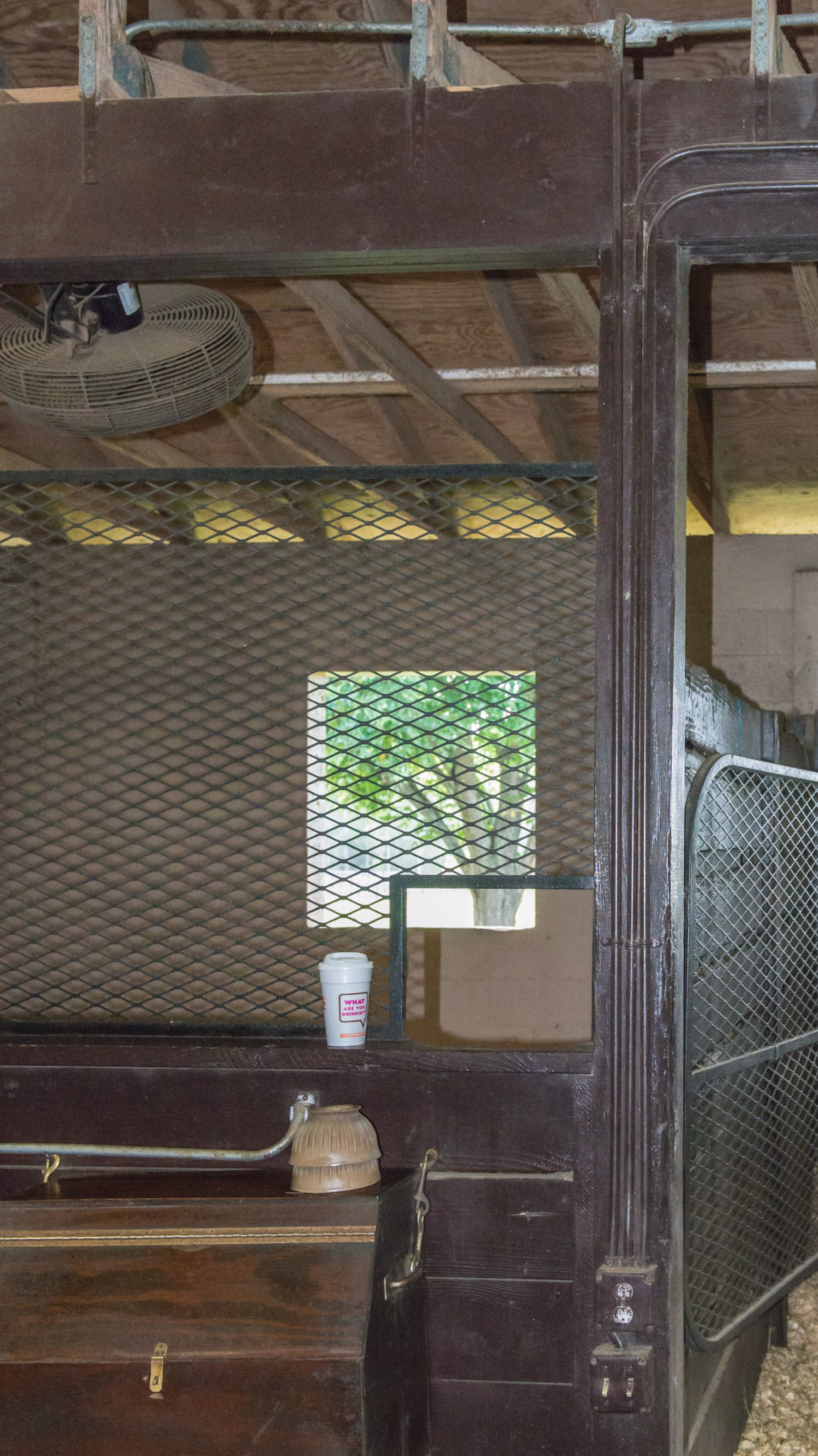 Organized electrical conduits. The outlets and light switches are low below the horse's ability to reach them.