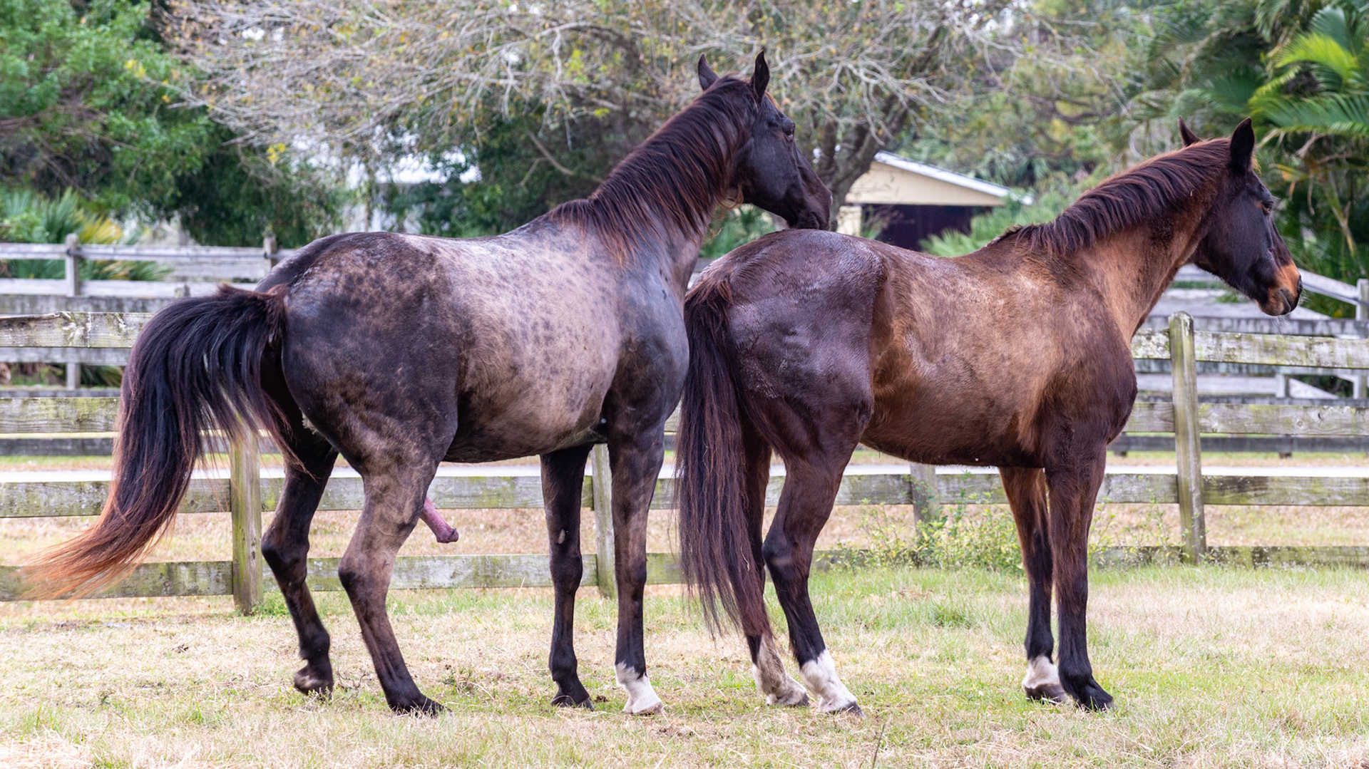 12/25 - But interest still remains in boty parties.