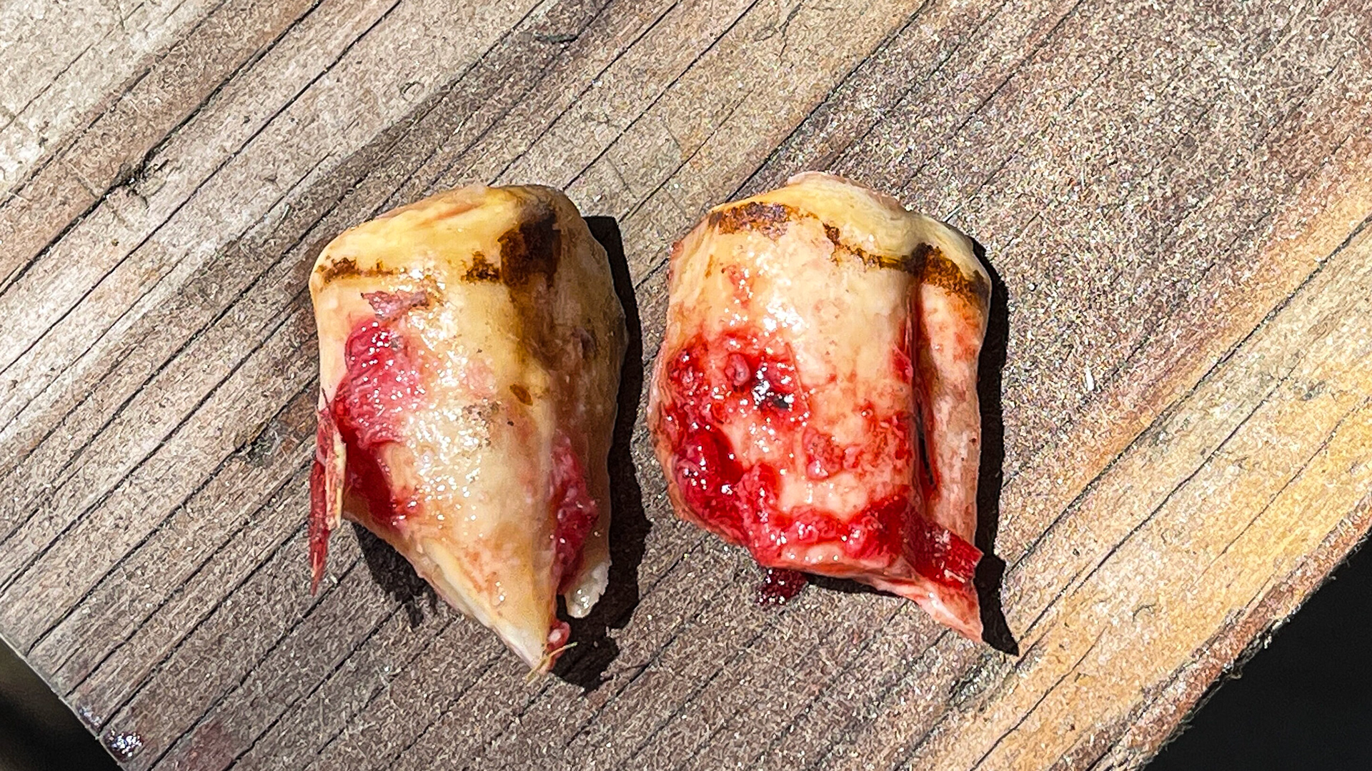 Two palatal saggital fractures in a pony. One from 109 and the other from 209. 6 months earlier I removed another similar fracture from 108.