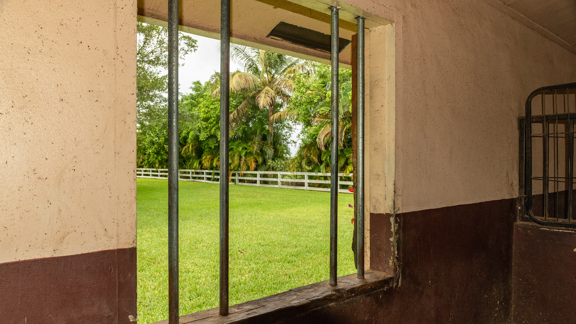 CBC wall with steel bars partly covering the window. Why have any bars?
