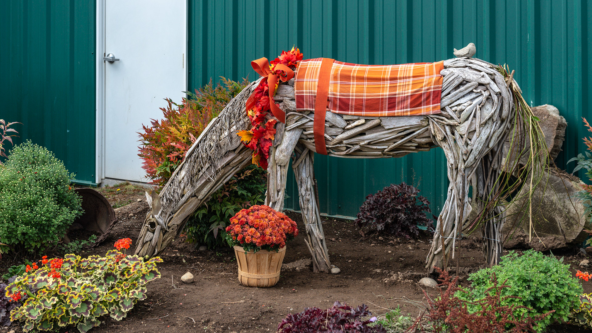 Autumn scenes at a farm in WA.