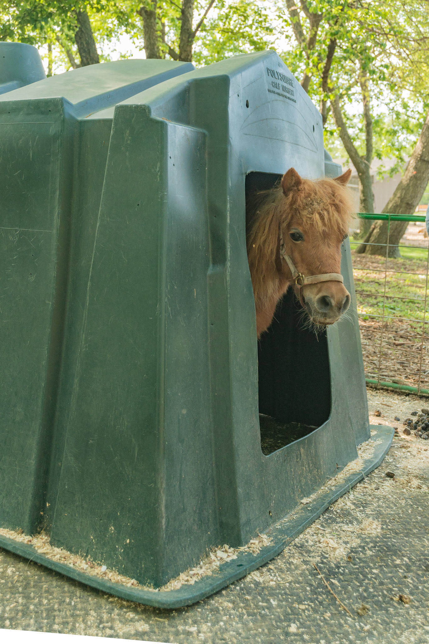 "My castle" - Queens, NY Farming Museum
