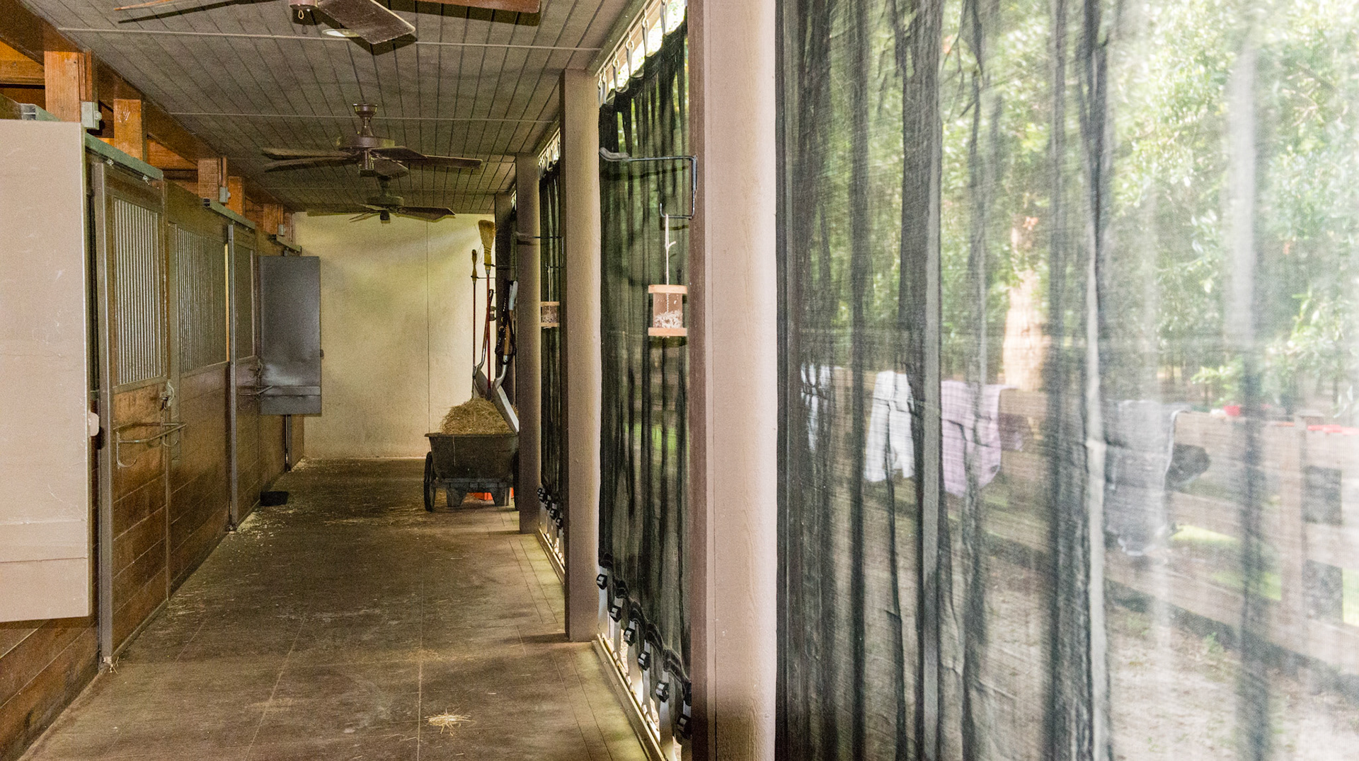 Protective screen lets light and air in but is strong enough to keep wind and flying debris out of the barn. See the close ups for details. The small device hanging on a string is a fly predator container used in fly control.