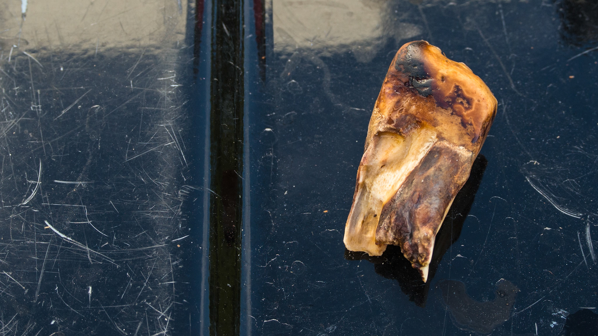 Extracted end stage cheek tooth