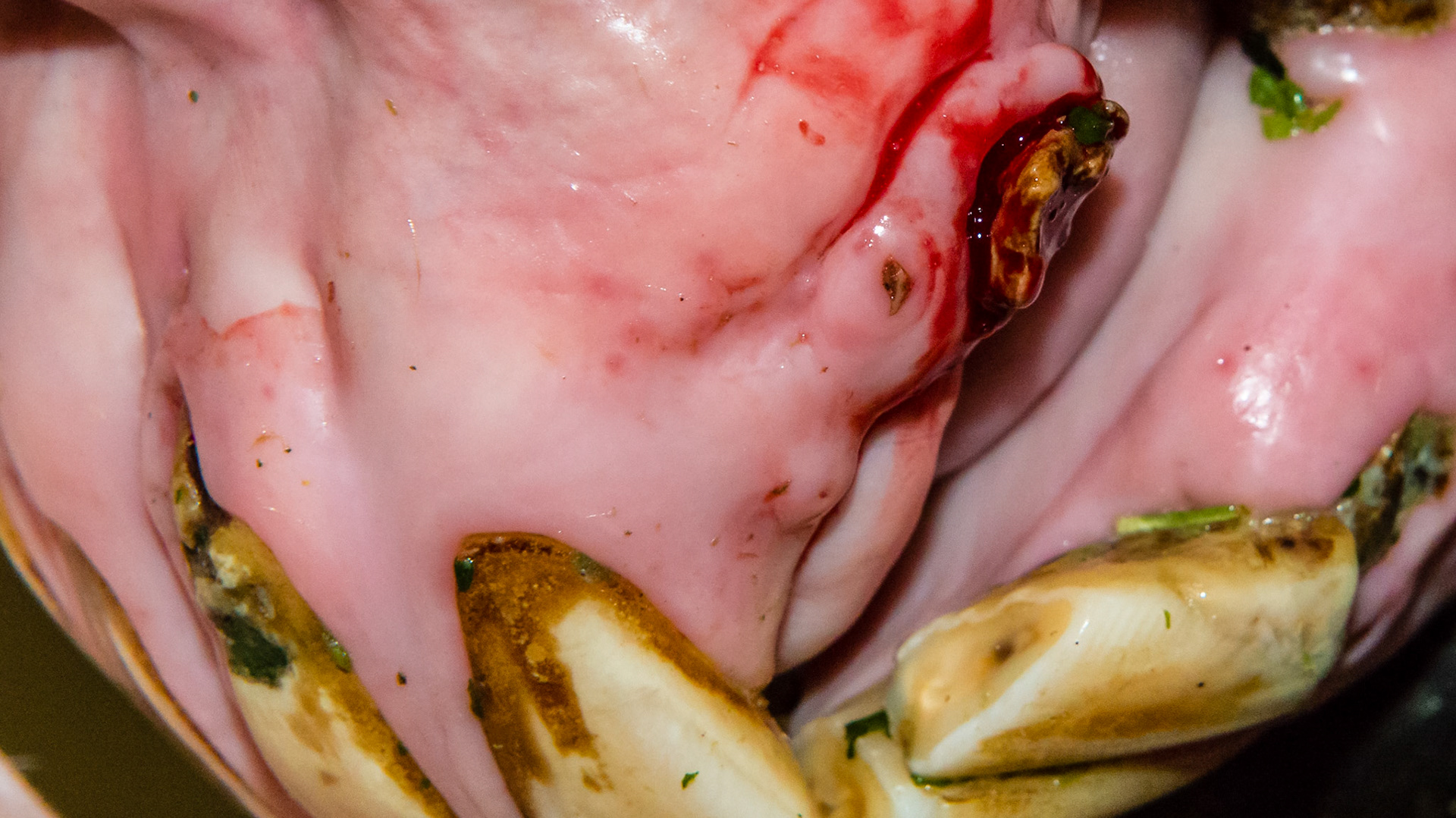Obvious EOTRH in the incisors with upper canine involvement. Thickened and inflammed gums and the canine is decayed and broken.