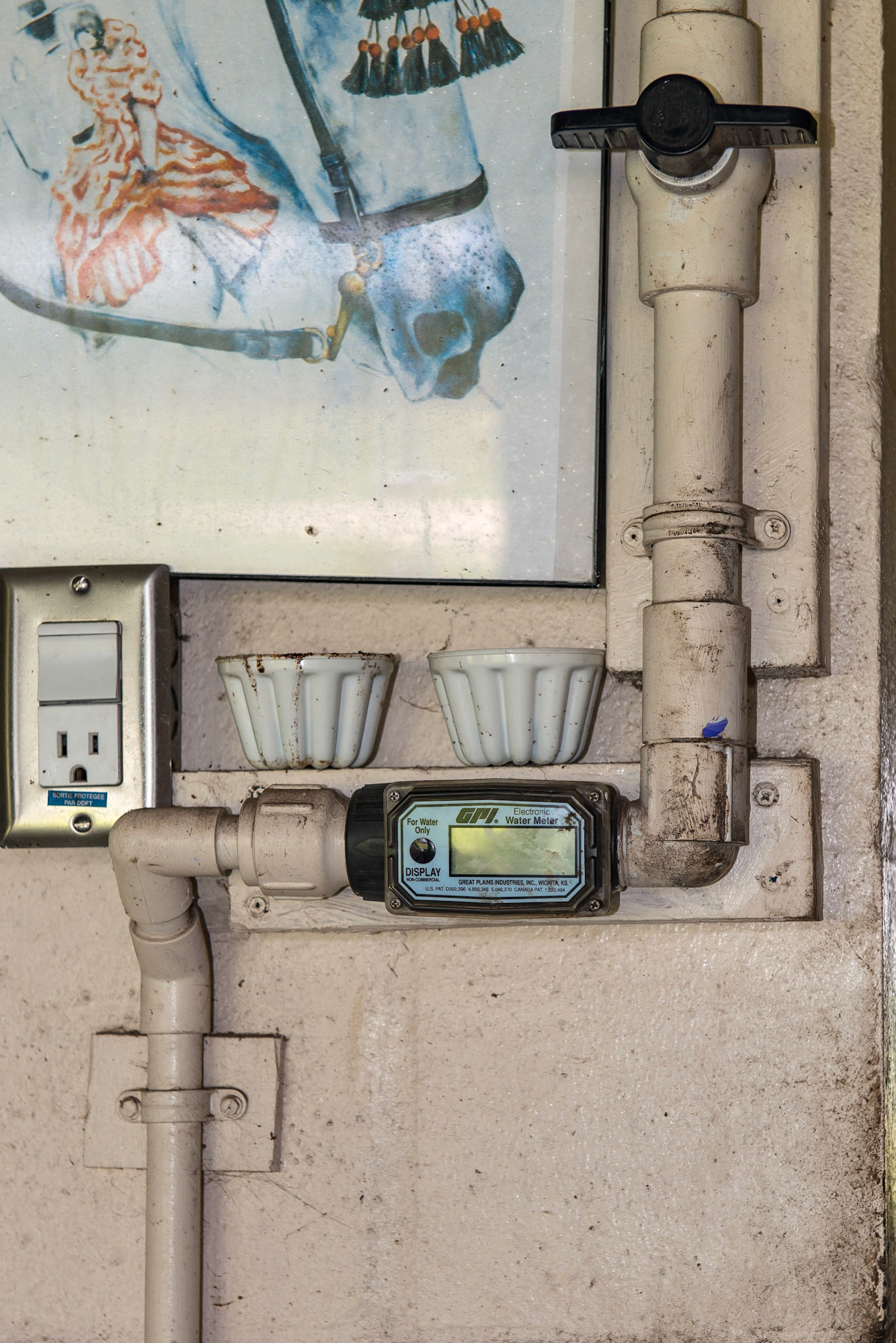 A flow meter is placed in line with this water line to monitor the amount of water consumed by the horse.