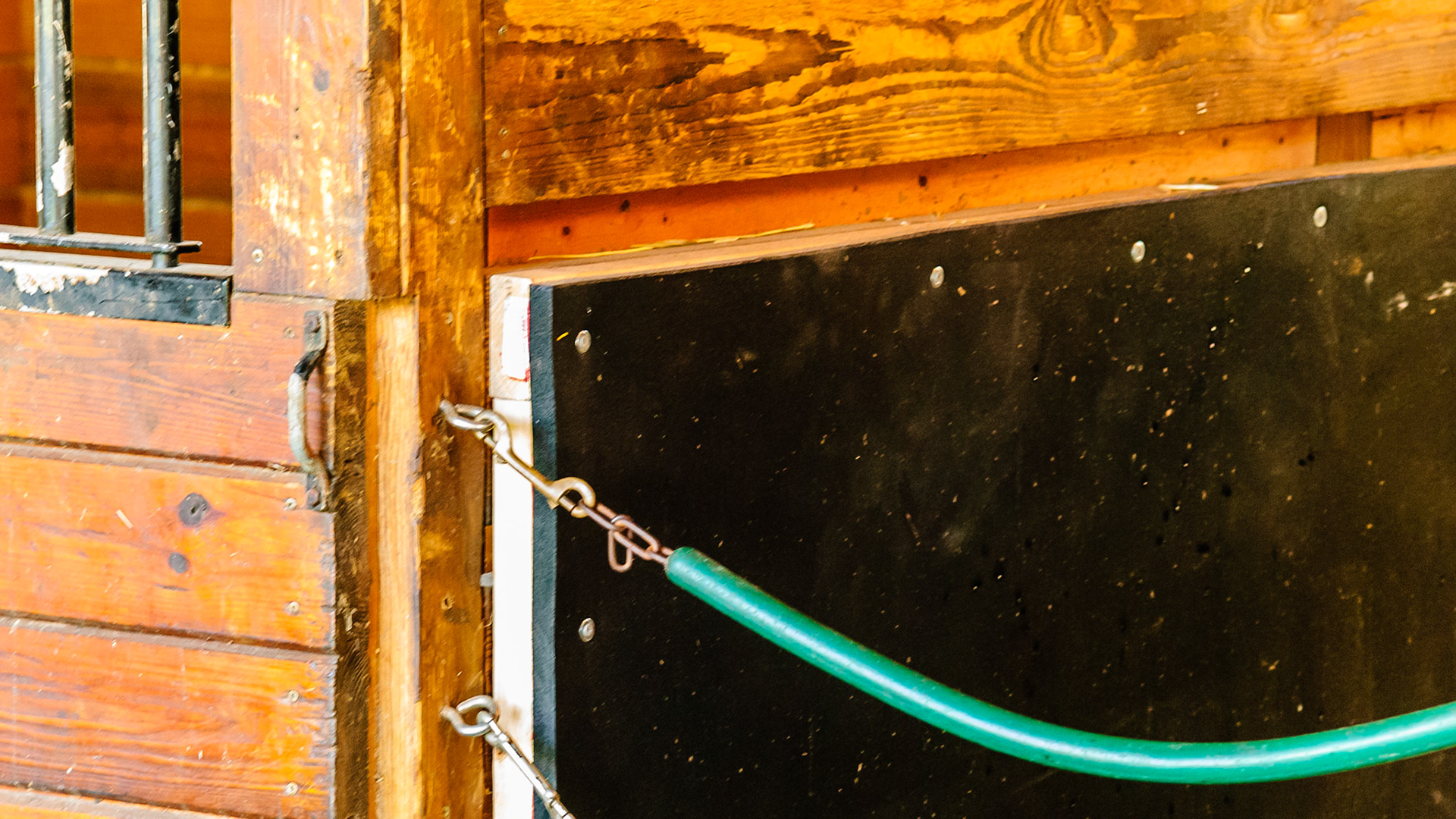 Usually kick mats are screwed or glued directly to the wall. This man’s idea was to buffer the kick by placing the mat away from the wall. He eventually removed it because the shavings worked their way up behind the mat.  Maybe if the bottom edge was about a foot off the ground it would not have been a problem. I thought the idea was good to prevent injury to the horse.