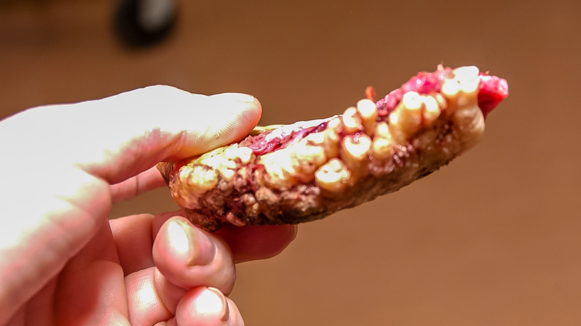 A warthog I have worked on.