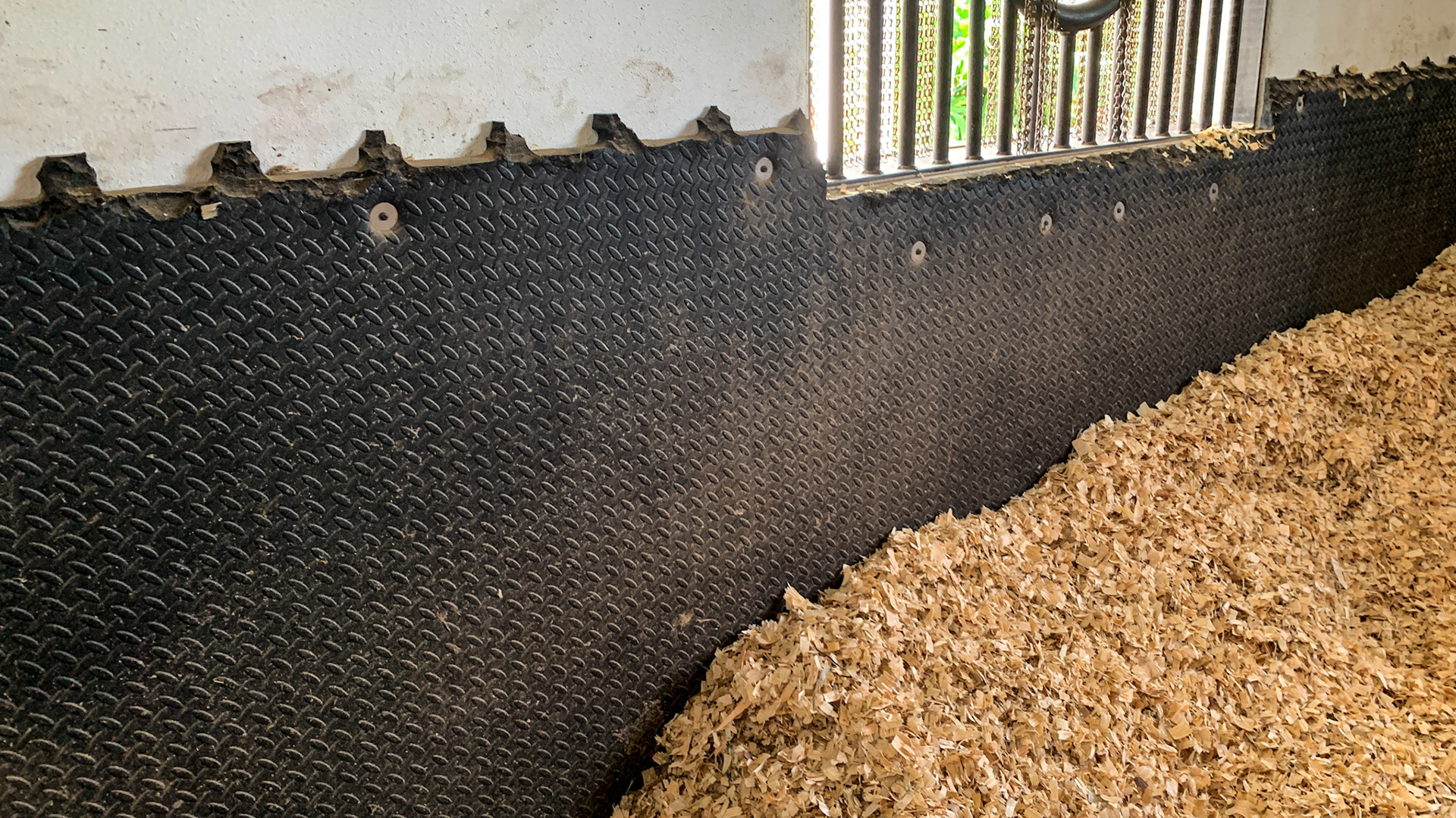 These are thick kick mats securely screwed into the walls.  The scalloped edge is from the tabbed configuration which has become inviting for horses to chew.