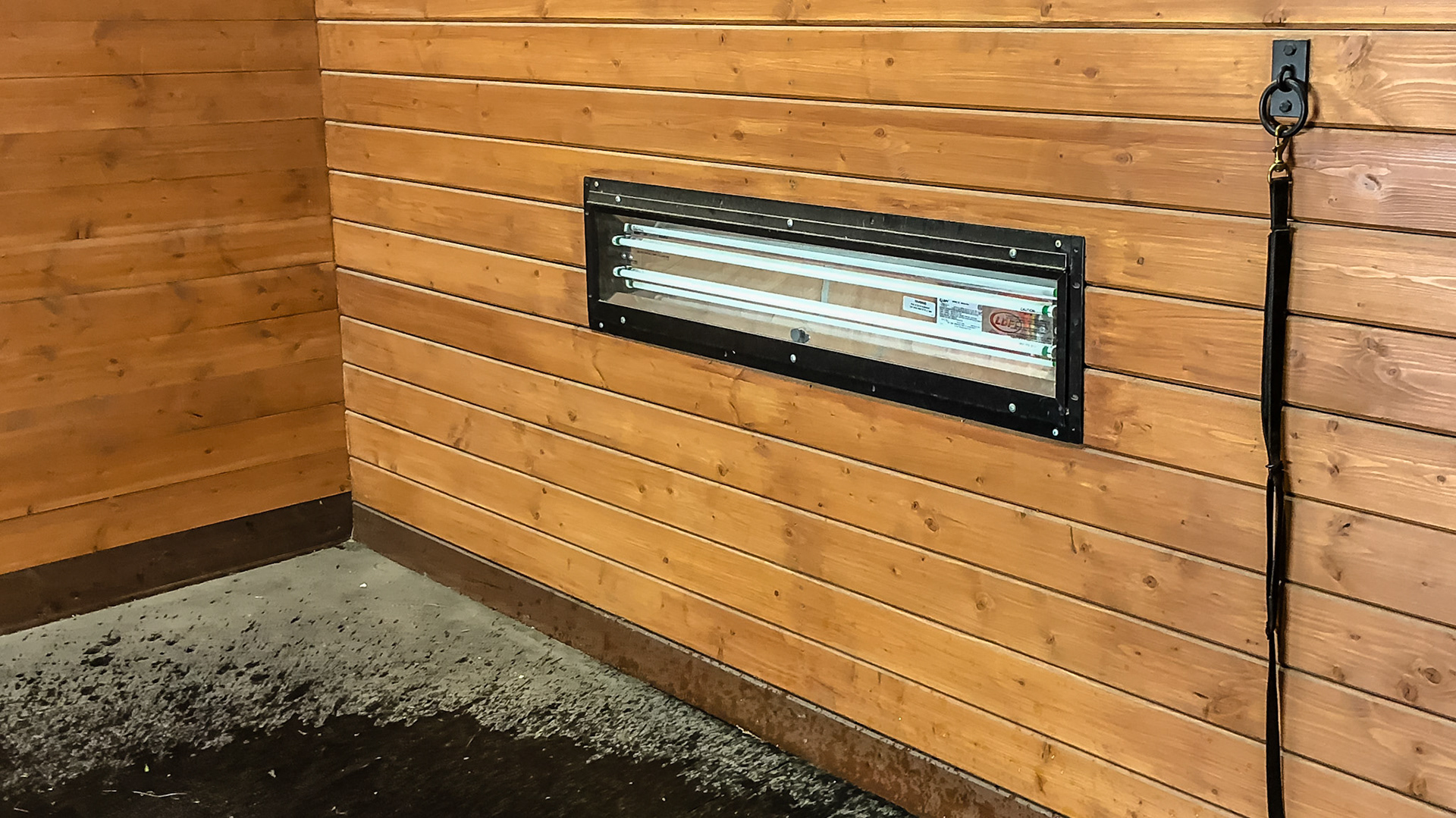 These high intensity lights are installed at both sides of the horse to give outstanding illumination of the horse even underneath.