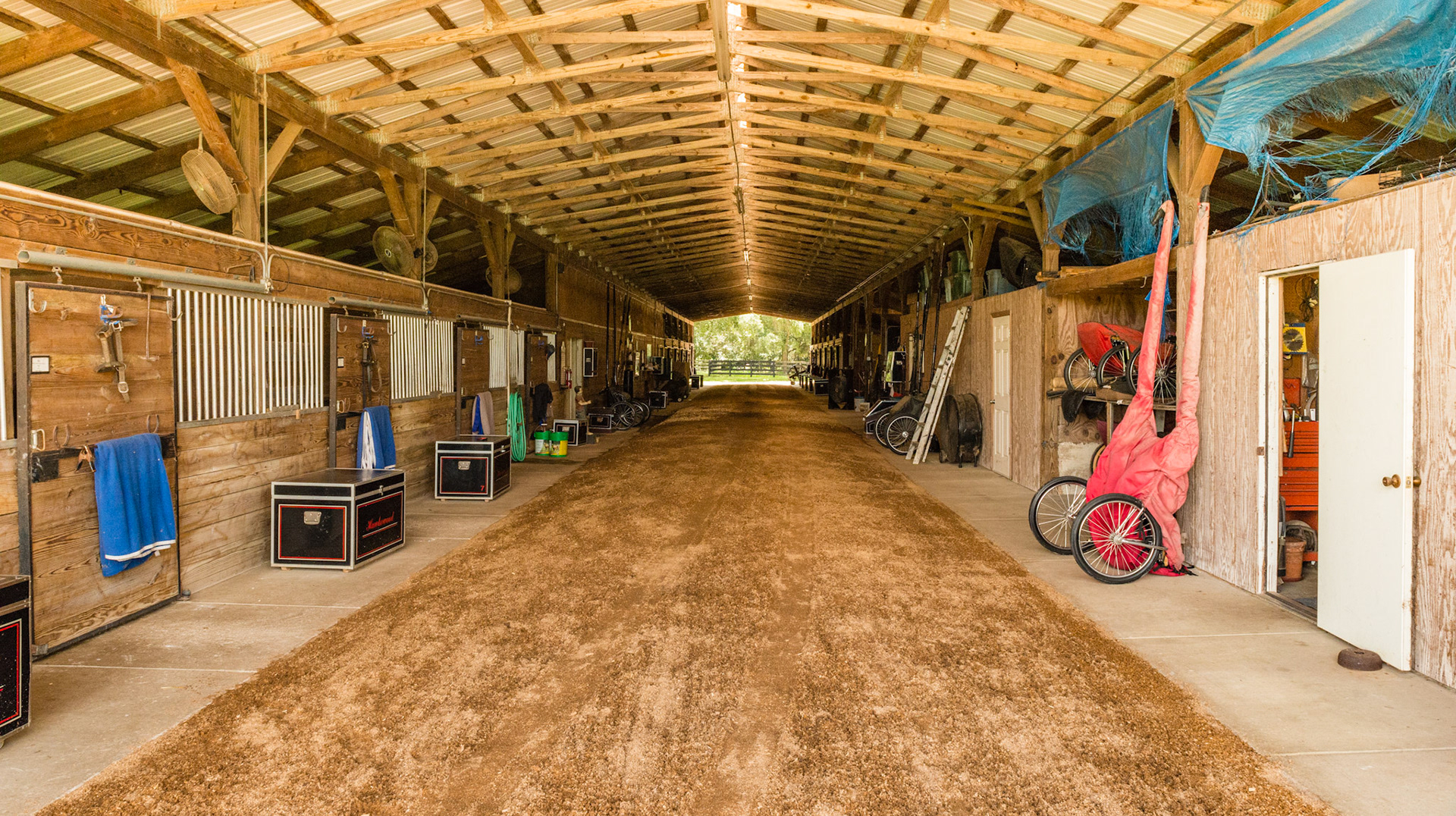 Interior of a saddlebred barn with a wide aisle deeply cushioned with sawdust for exercising and training the horses.