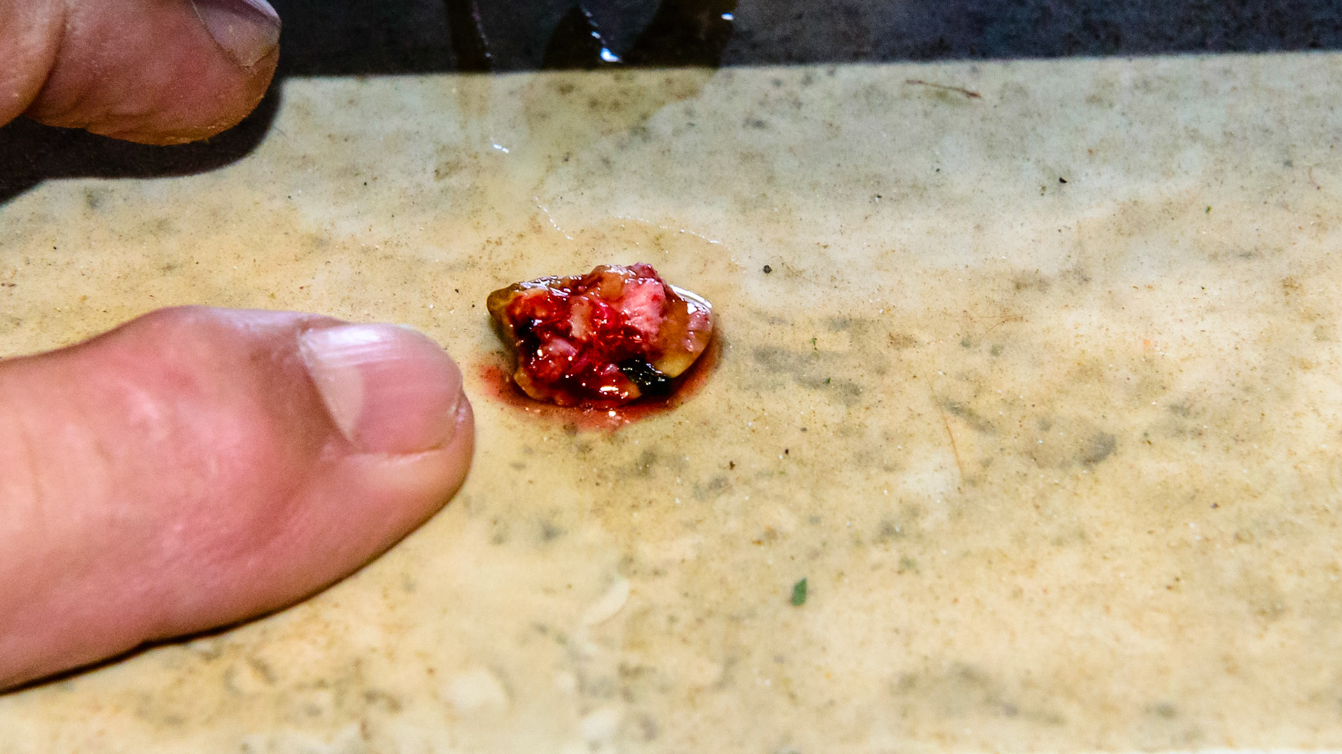 EOTRH horse 19 - extraction of the decayed canine #204.