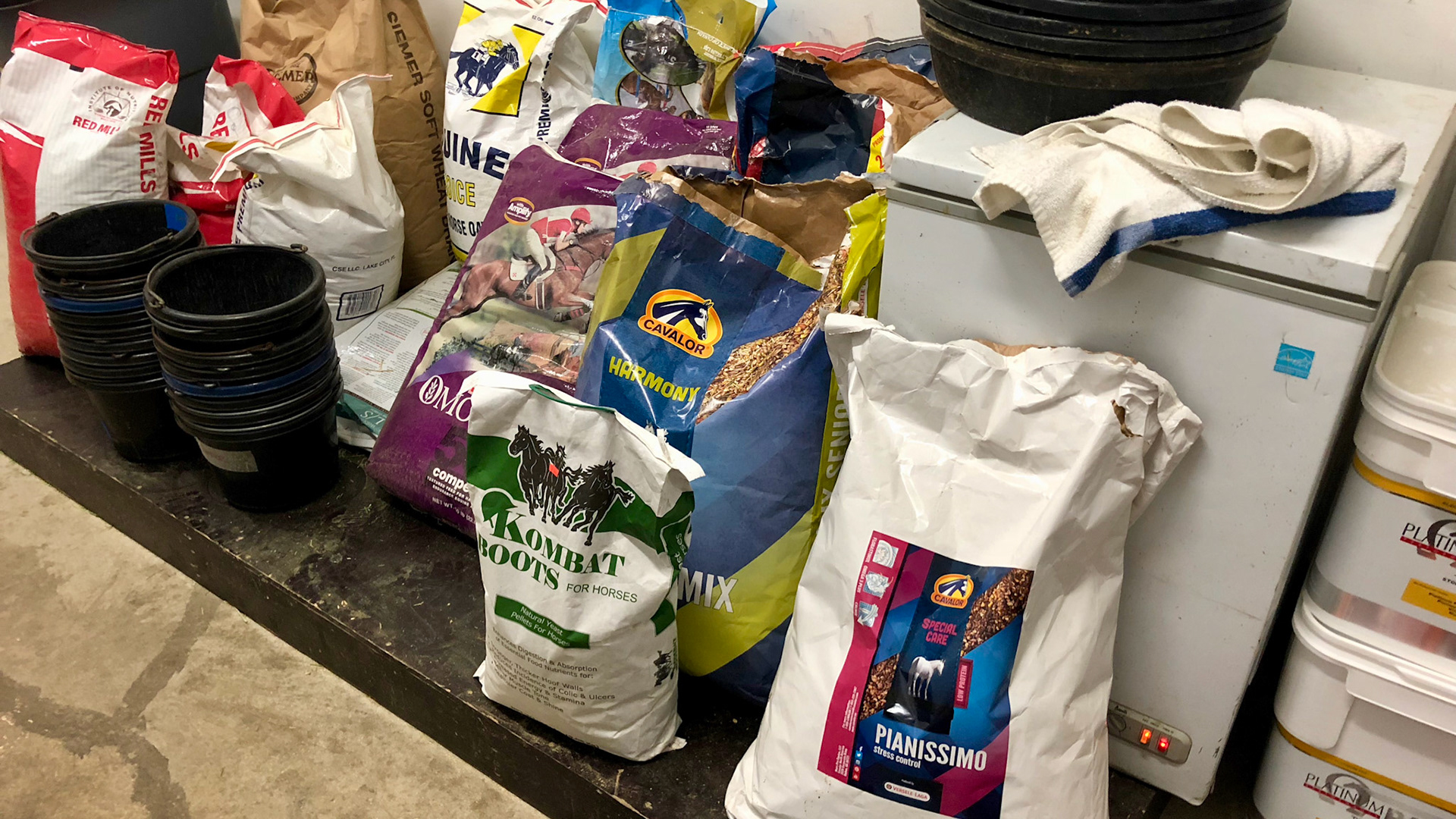 The variety of grain mixes available today for horse owners is shown by the many bags in this feed room. Confusion occurs because most of these are the same ingredients.