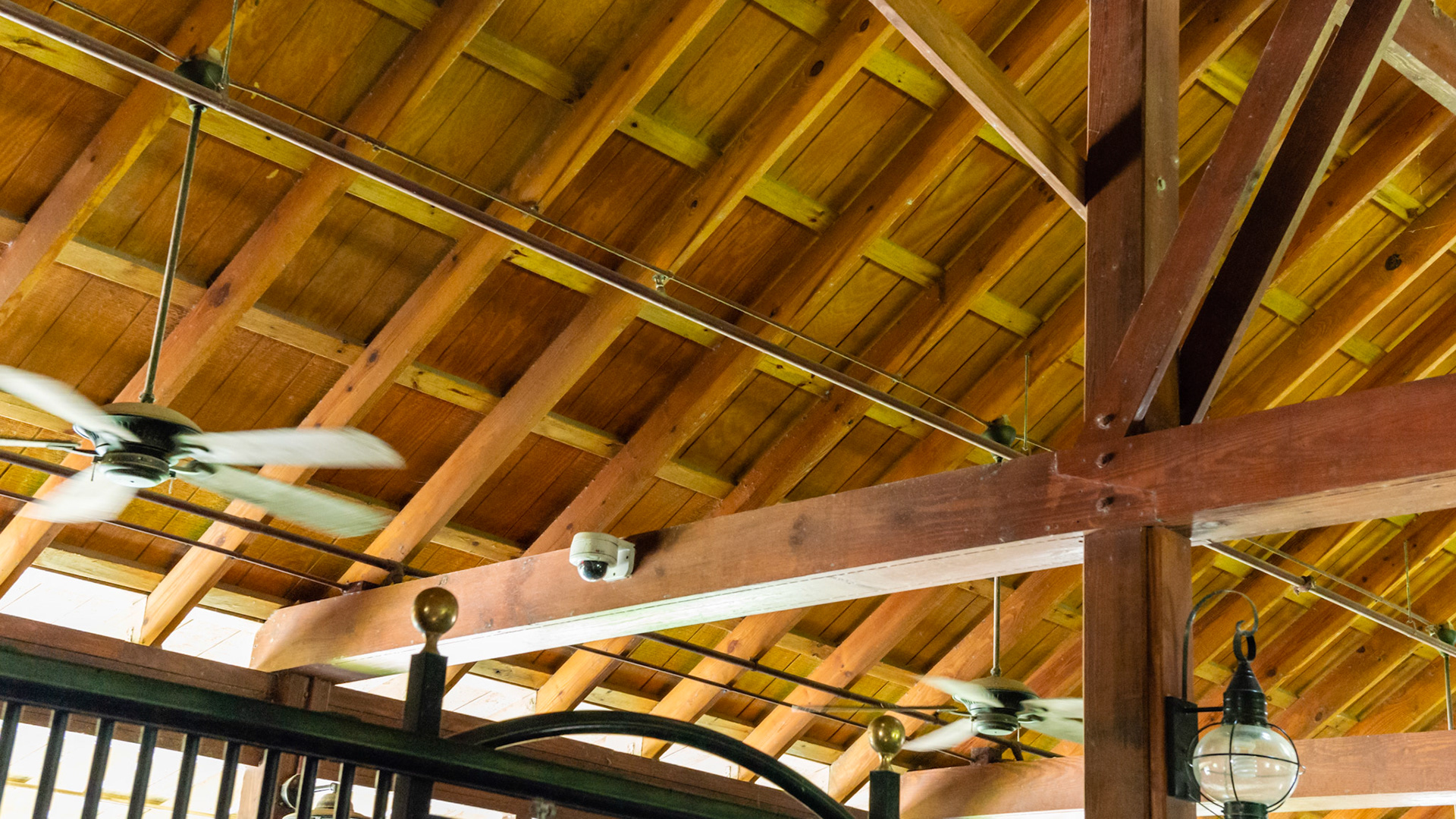 Above the stall: CTV camera, Sprinkler head, ventilation fans, and abundant ambiant lighting and air flow.