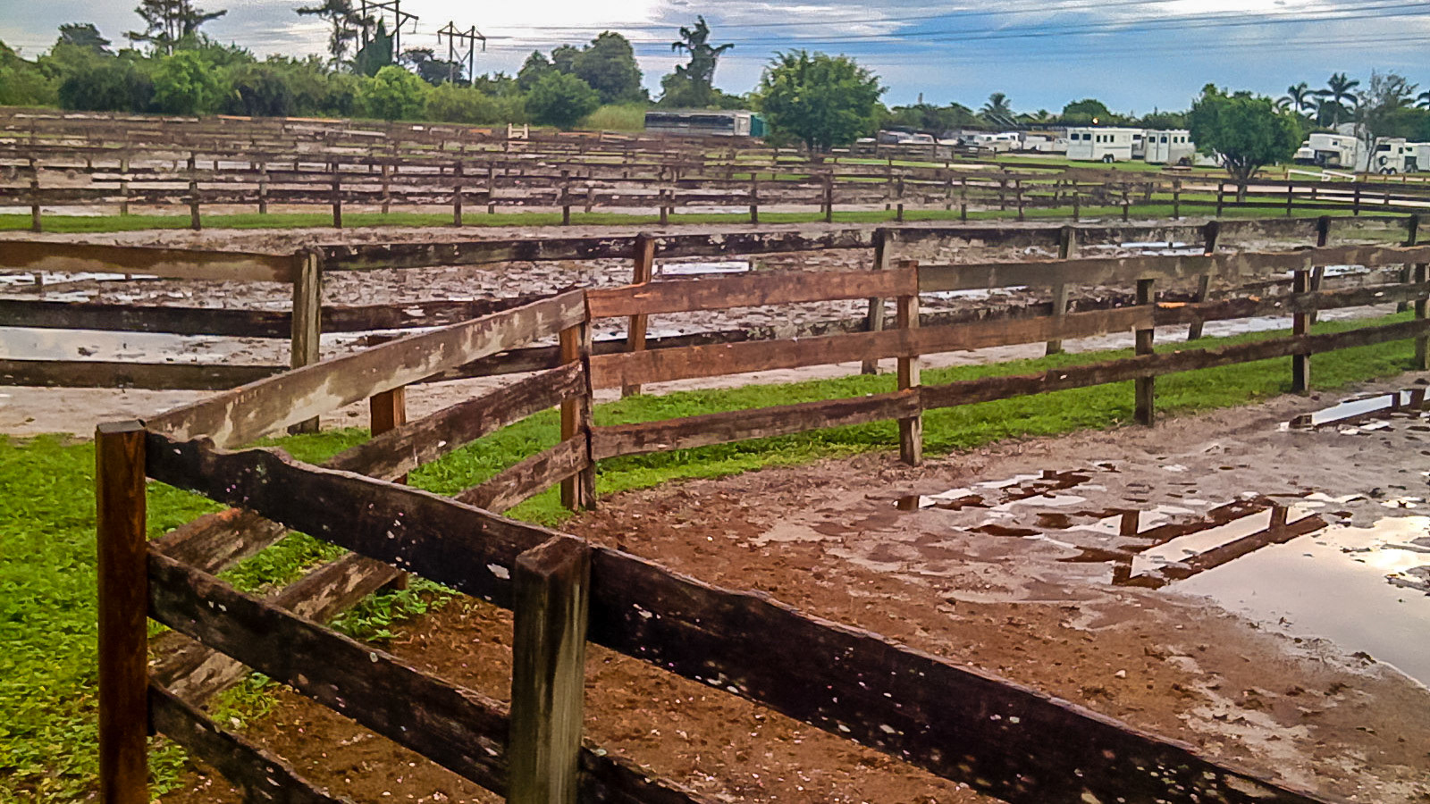 Mud is everywhere on this large boarding barn where turn out is limited to these paddocks.