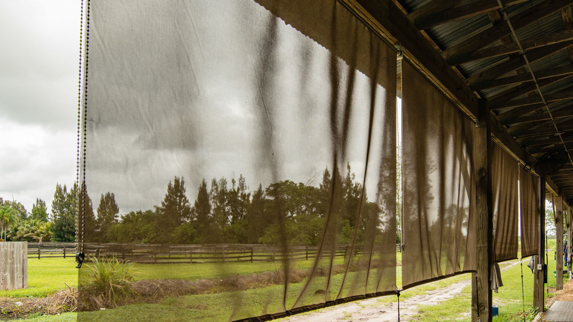 Sun screens that can roll up. Purchased at Walmart online.
