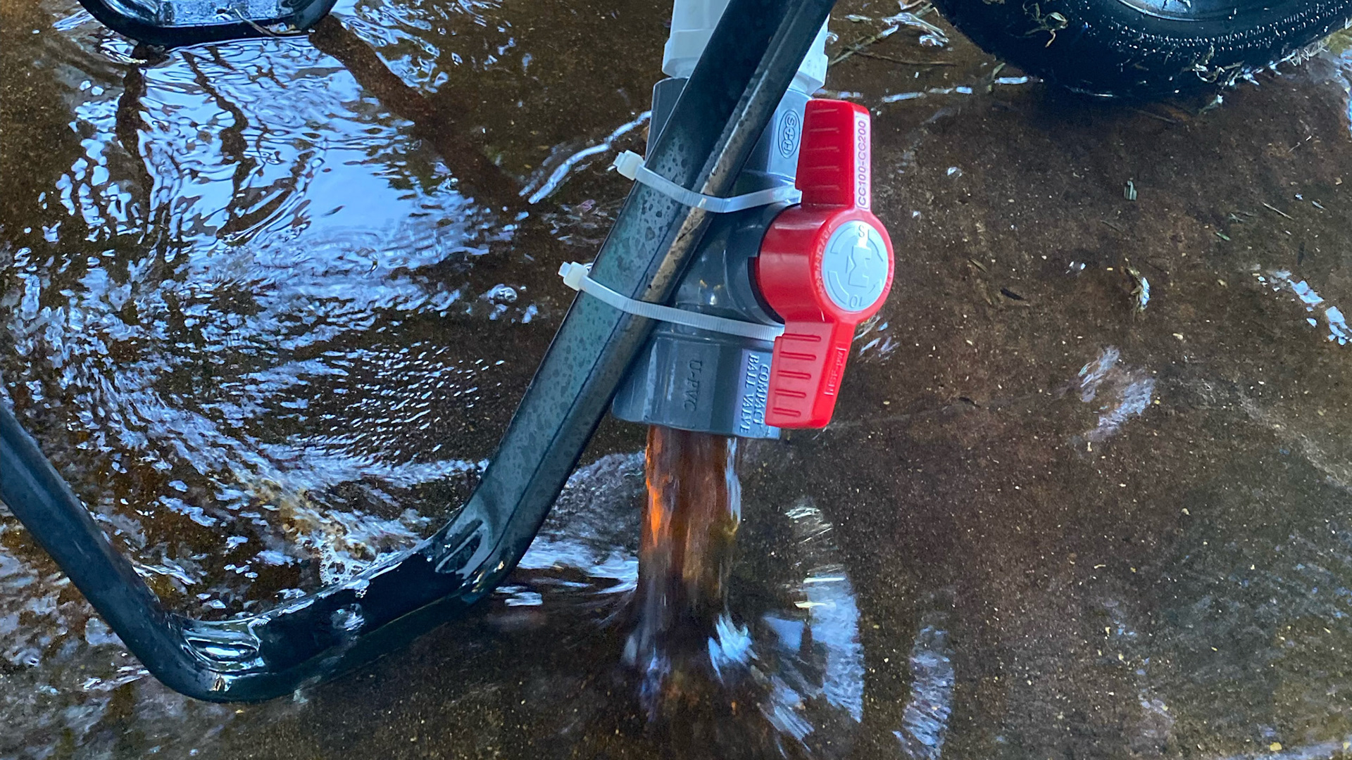 The dirty and sugar ladened water being drained from the wheel barrow after soaking. NOTE: use a copper valve as this plastic valve soon became frozen.