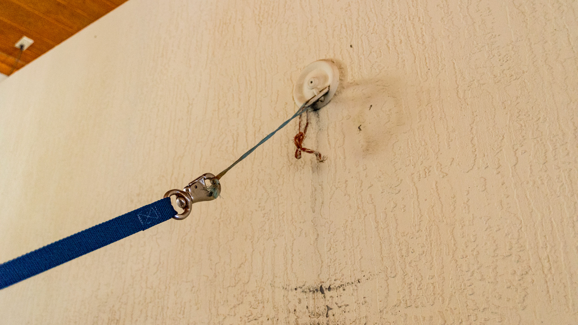 Cross ties attached to the wall with break away string