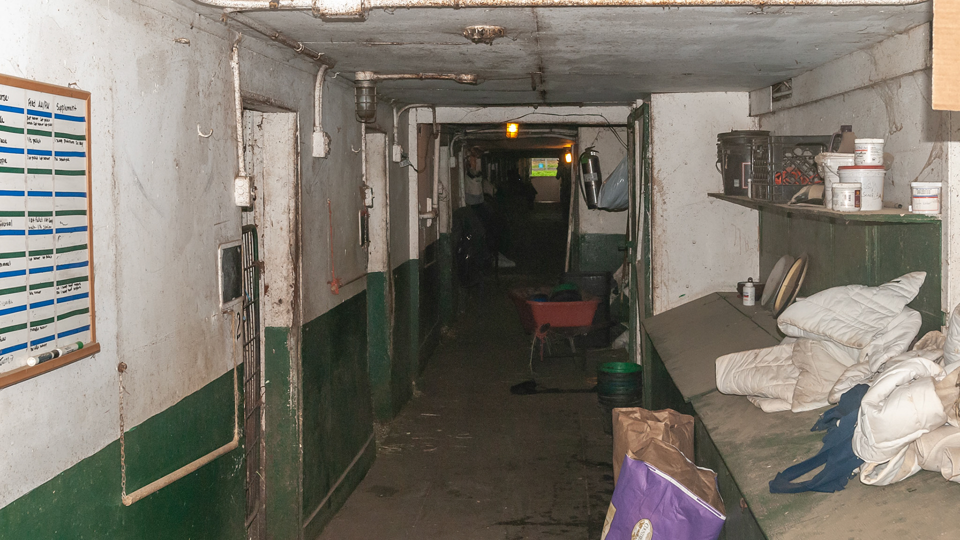 A dark hole where horses walk with lowered heads. Bad things - extension cords, dirty ceiling and lamps, light fixture juts into path of horses and humans, dirty and cluttered environment
