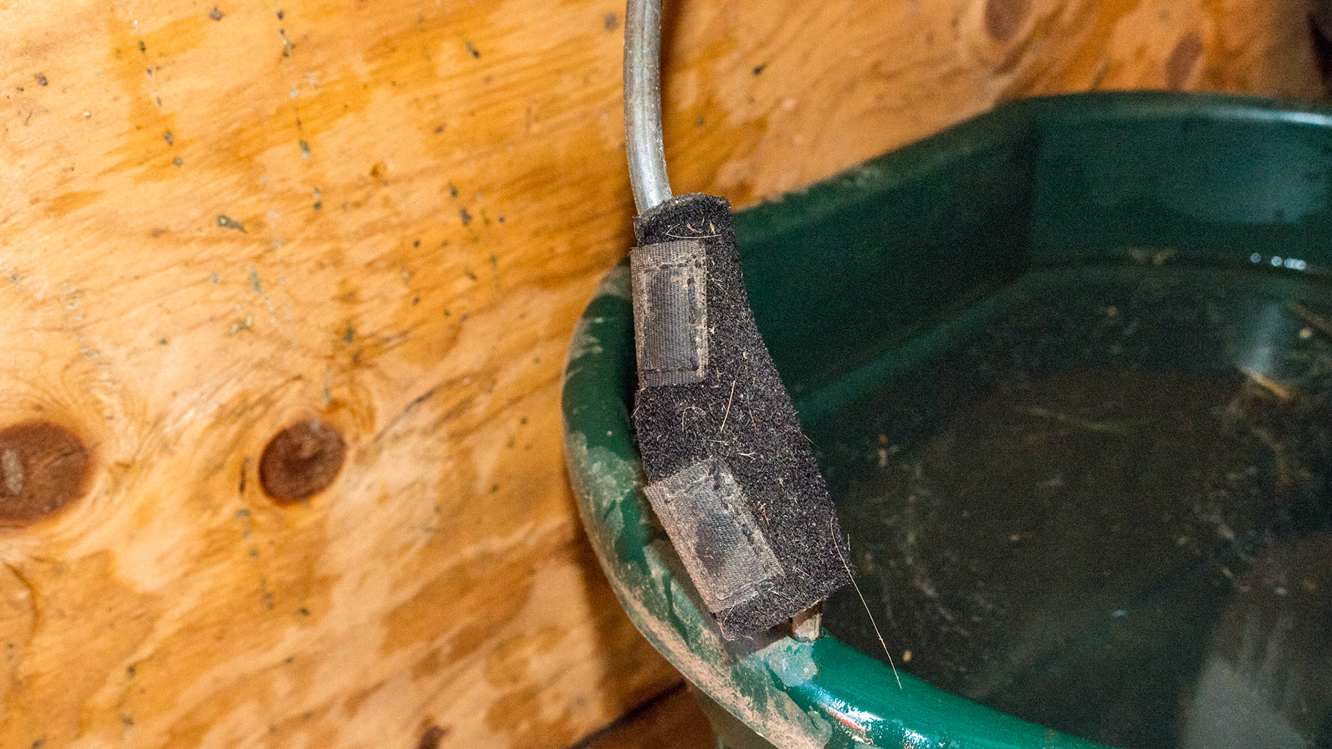 Neoprene wraps made for covering wire junction to prevent tail catching and eyelid lacerations.