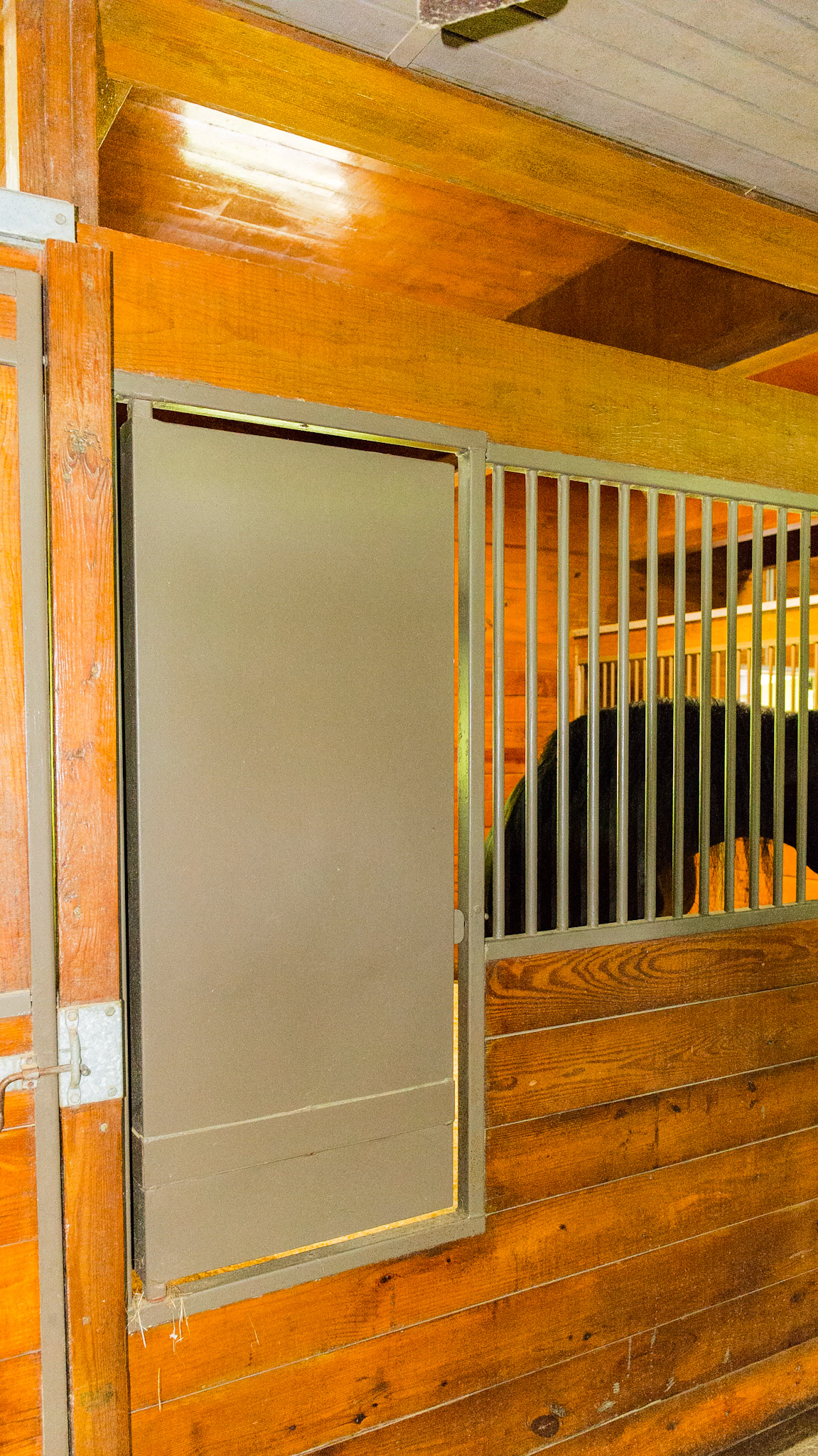 Stall feed door rotates for access to either inside or outside the stall and locks into either position.