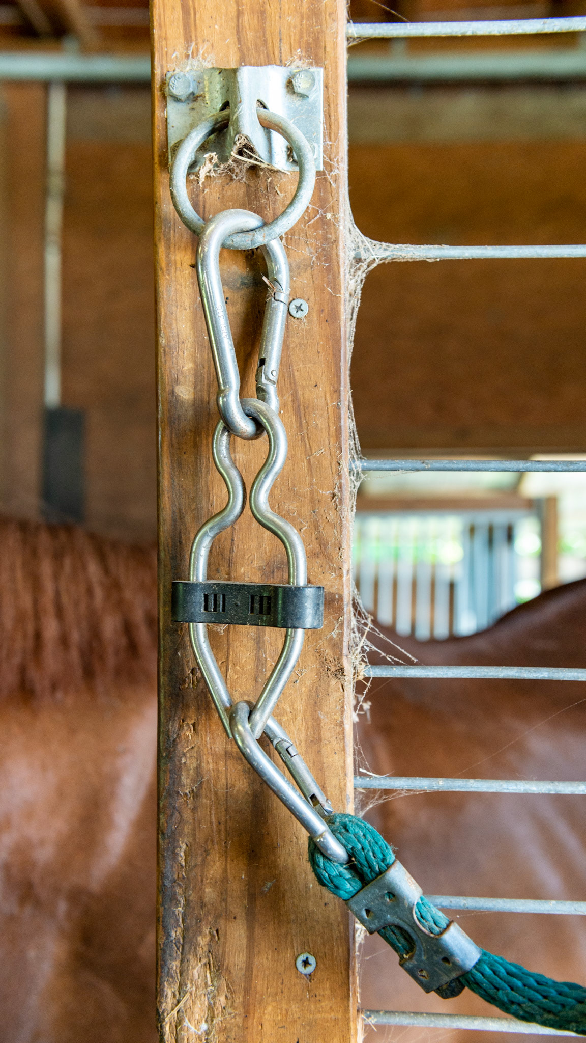 A rubber piece provides tension to the metal pinchers. If the horse pulls on the lead, the pinchers will separate releasing the rope.