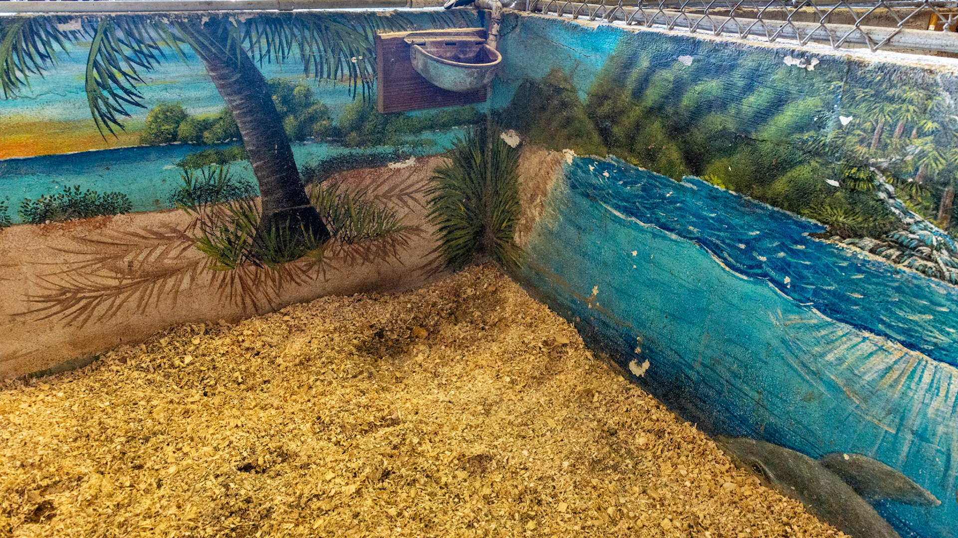 Hand painted mural by the horse's owner.  The painting was done 3 years ago and has maintained itself well with just some pressure washing. She is planning on repainting it this winter.