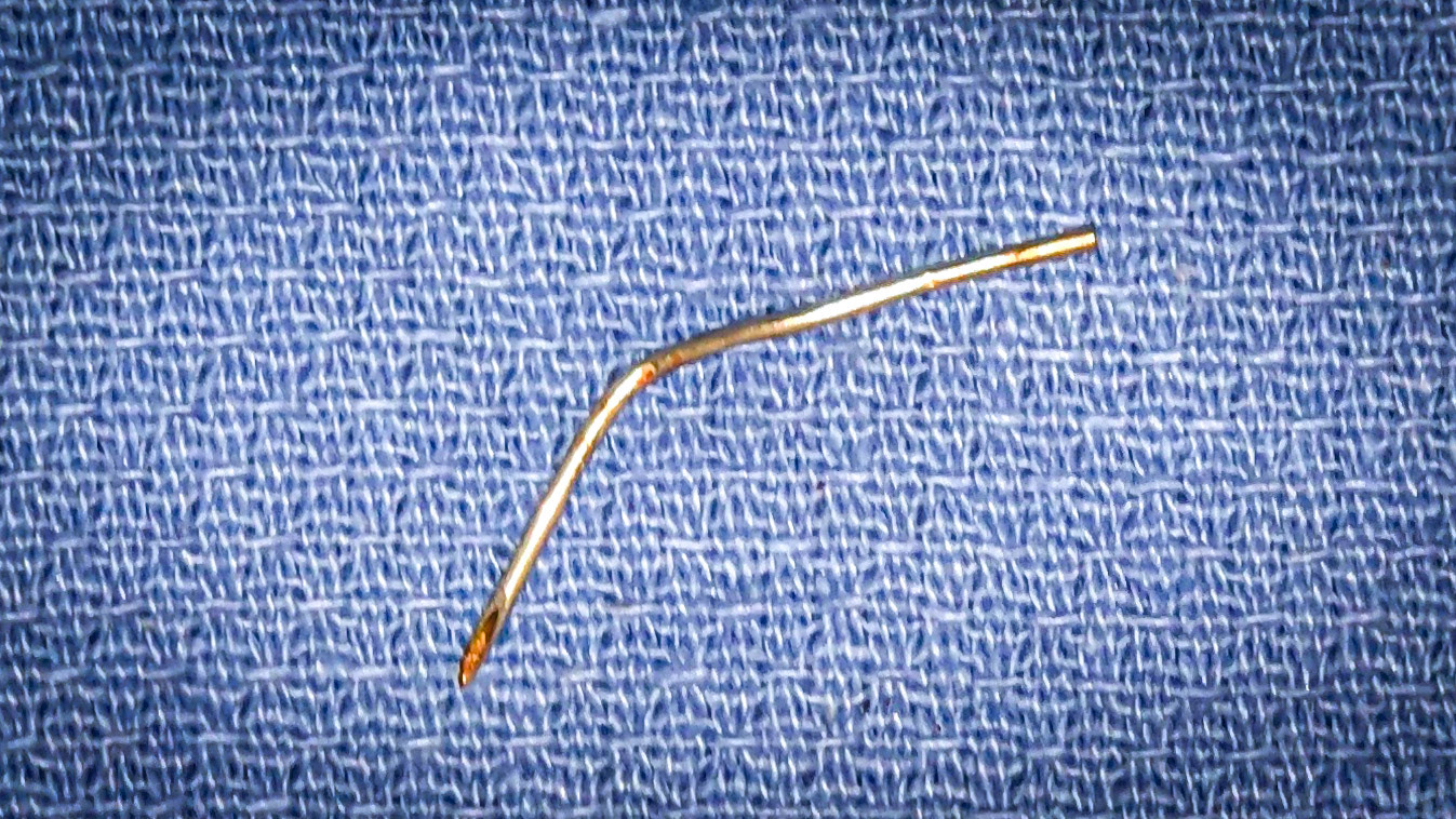Needle horse - The hypodermic needle removed from the tongue. The horse recovered well after this.