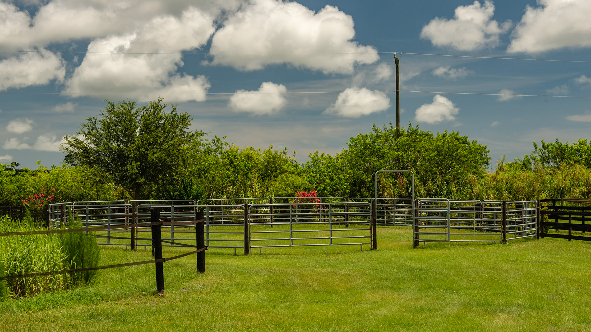 Pipe panels hitched together into a round pen.