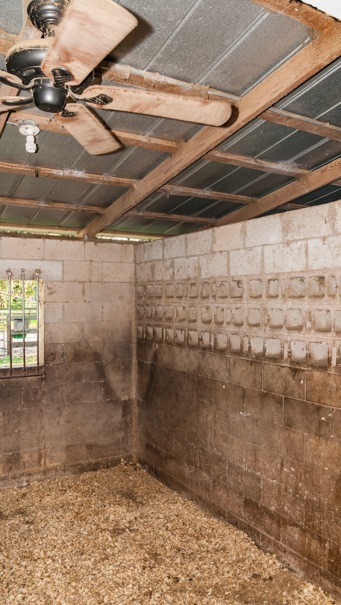 Air holes in the cinder block wall allow for ventilation and seeing another horse.
