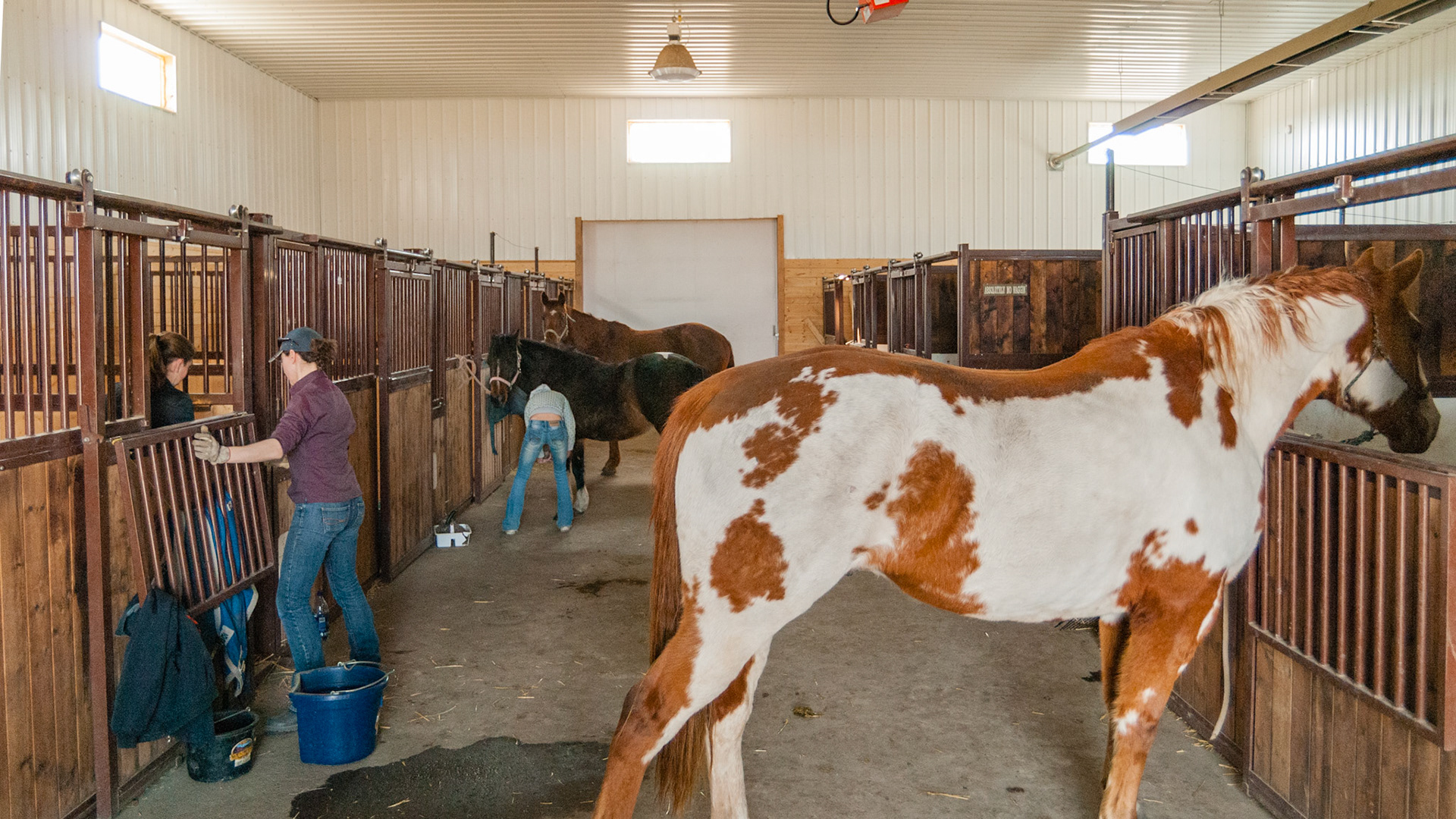 Barn Interiors