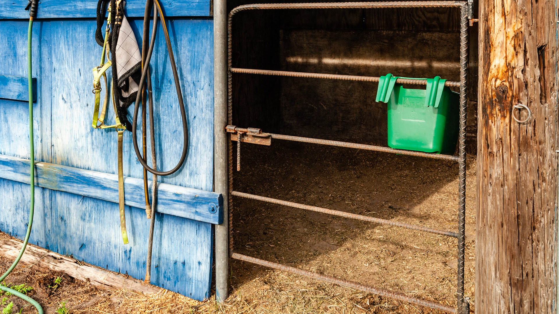Hand made gate and latch made of welded rebar.