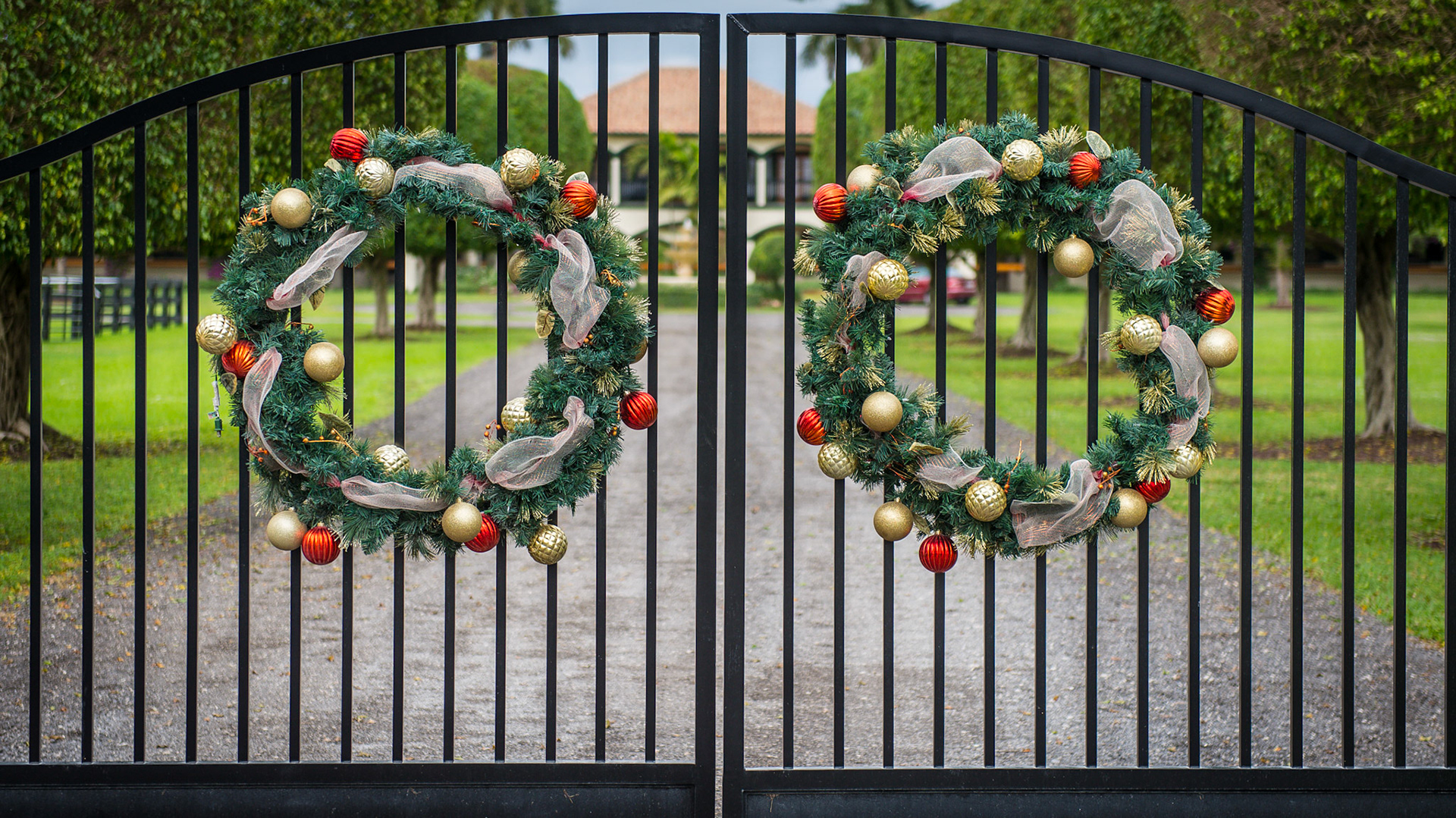 Christmas decorations on a farm.
