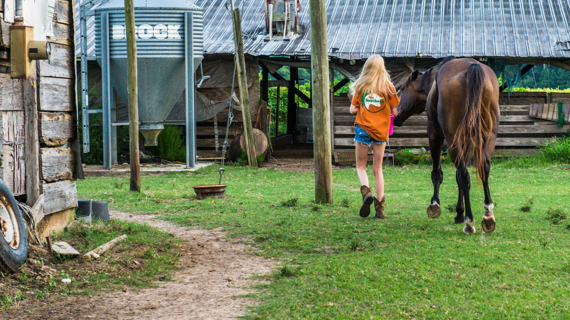 This series of 3 pics - a rescued TB that has gained weight and loves his grain is being led by this young girl with a bucket of grain. He understands and probably won't knock her down - maybe - but add just 1 horse and this is an accident where she becomes an innocent victim of 2 horses fighting for grain.