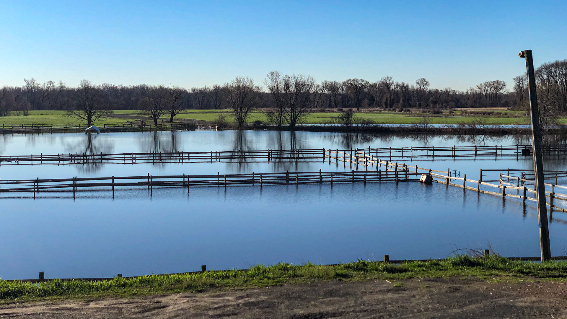Flooding from the creek is an annual loss of pasture use on this farm.
