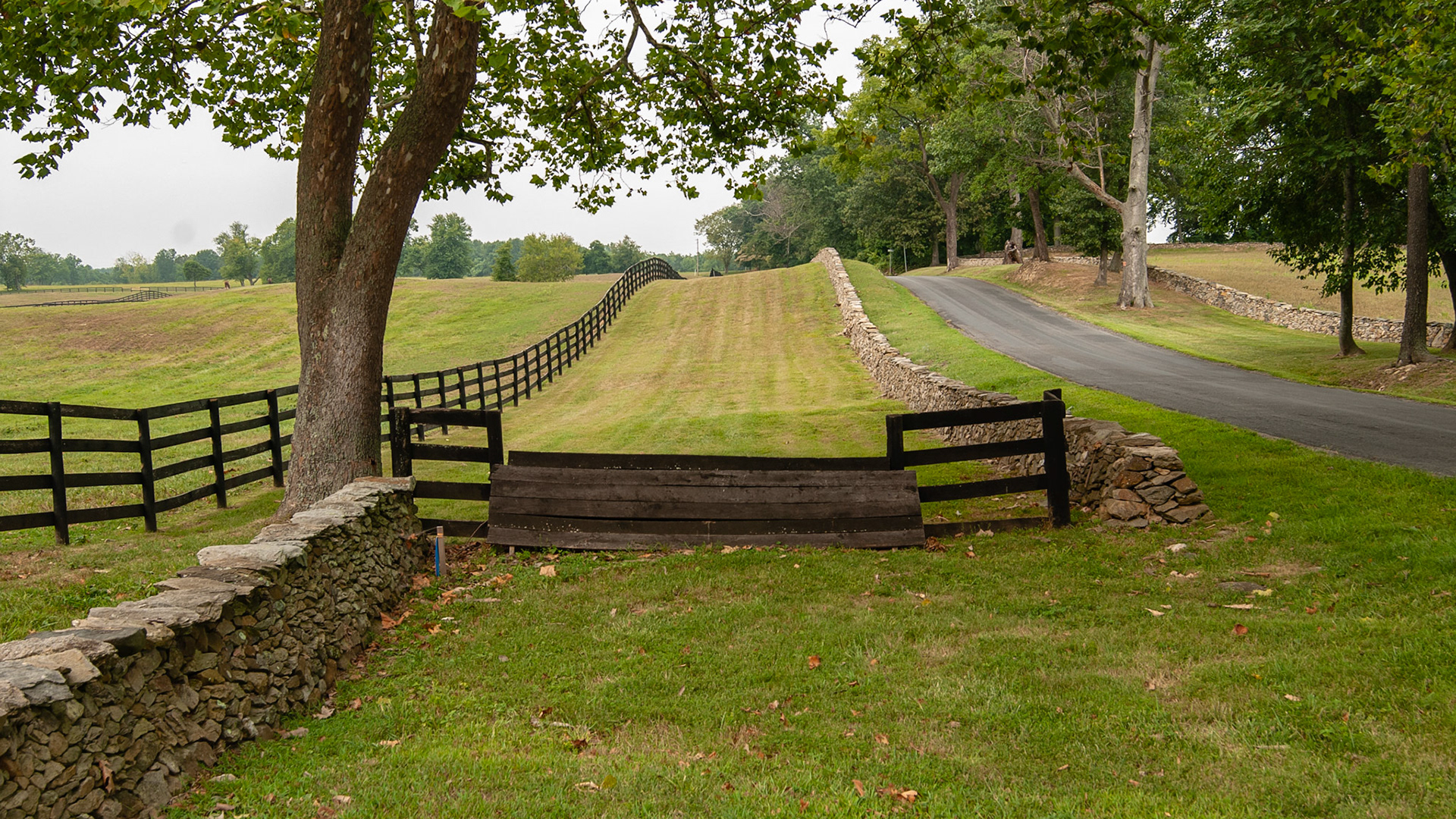 A roadside training track with an optional field jump along this back road in Virginia.