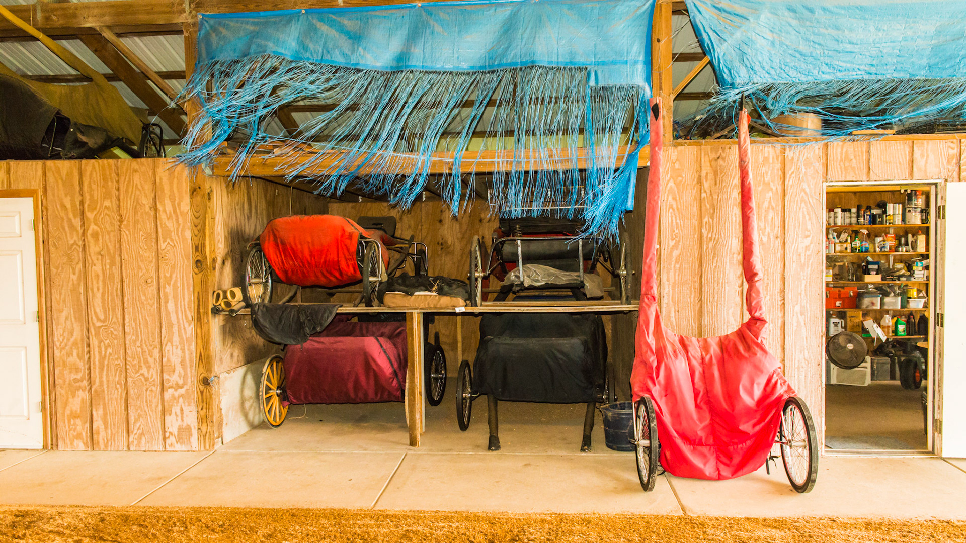 Carts double stacked and out of the way.  The feed room shelves are neat. The shredded blue tarps blowing in the wind keep the dirt out of the loft but allow people to see what is up there.