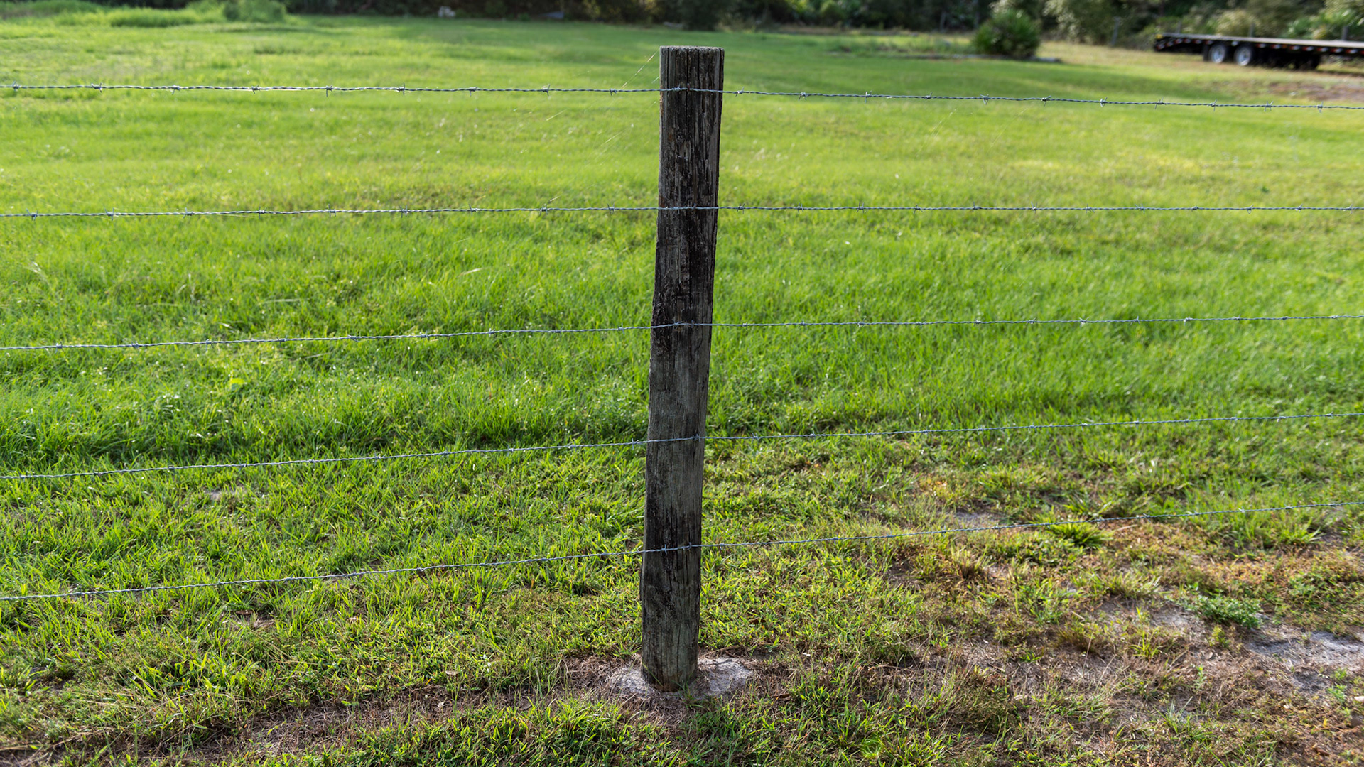 5 strand barbed wire fencing is inexpensive but extremely dangerous for horses.