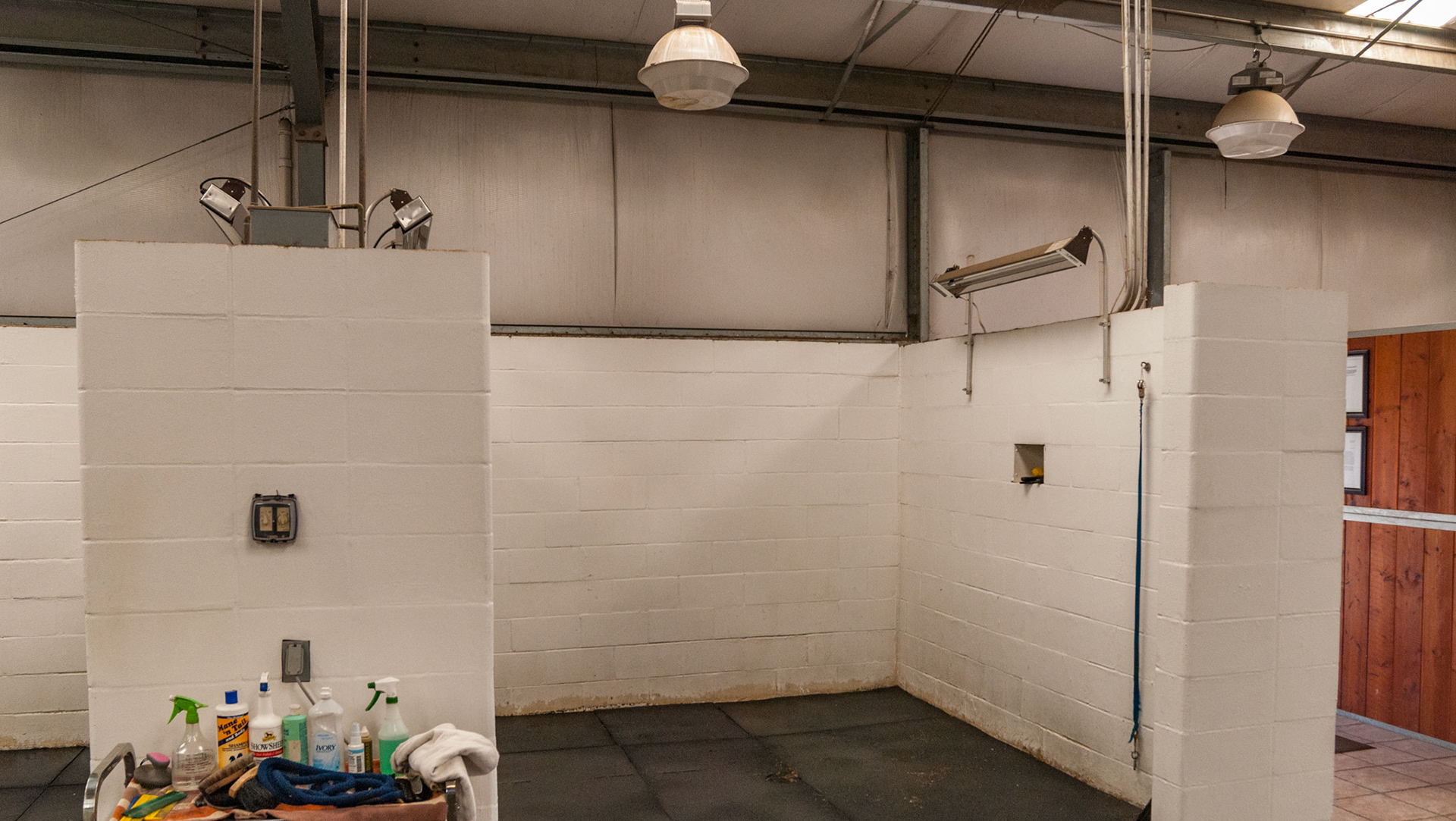 Grooming and wash area with overhead radient heaters.