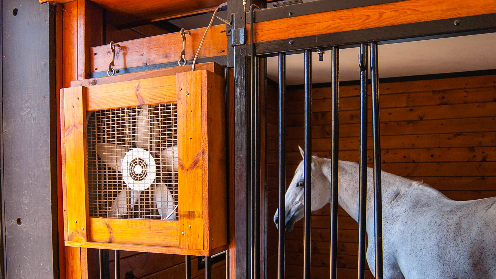 Hand made box to cover the plastic of this box fam