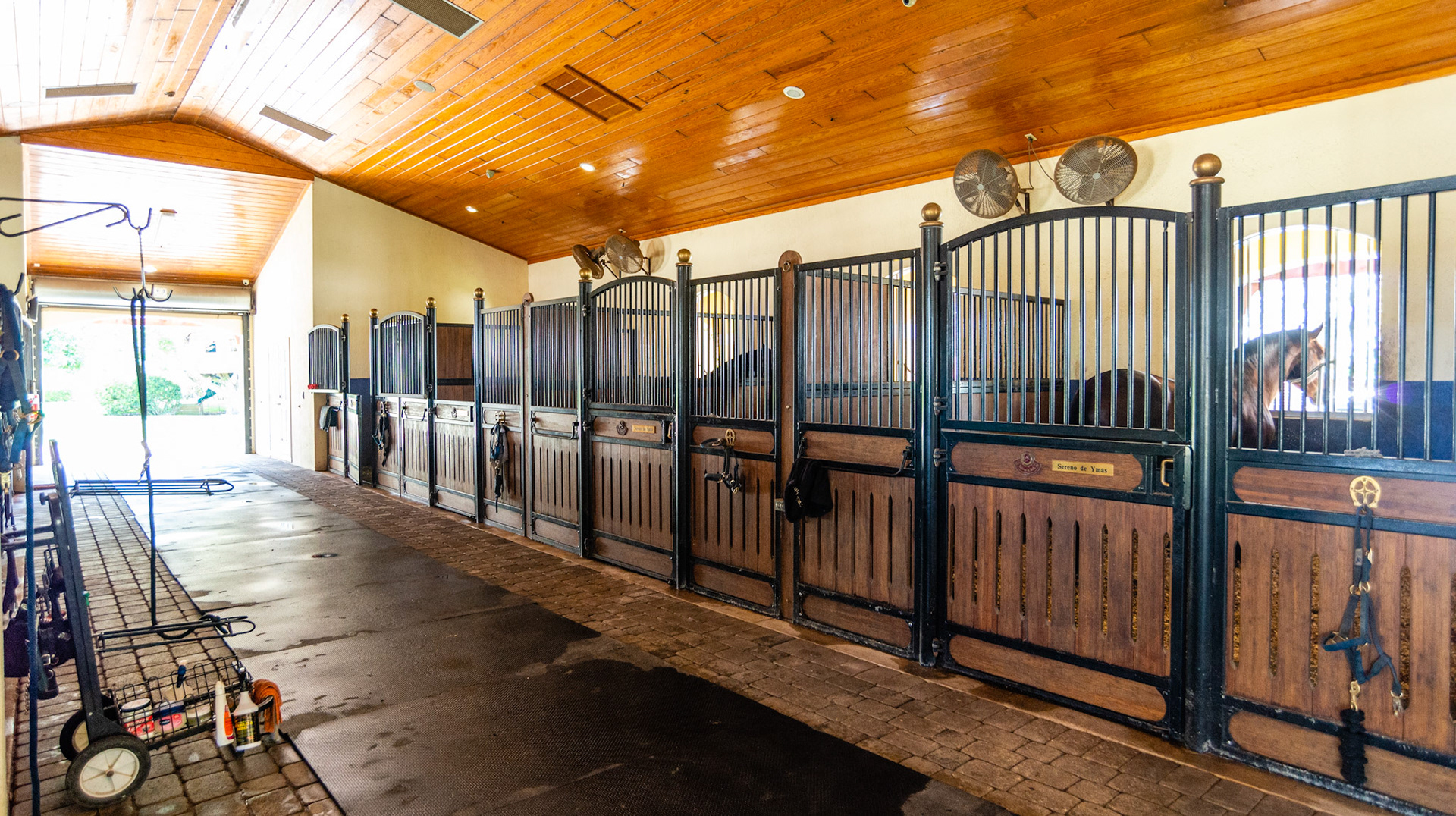 Security cameras mounted cleanly in high places