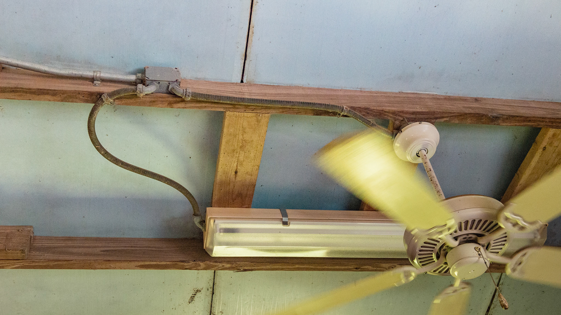 Conduit. The lighting is recessed and high but still in the center of the stall. Ceiling fans are common in Florida.