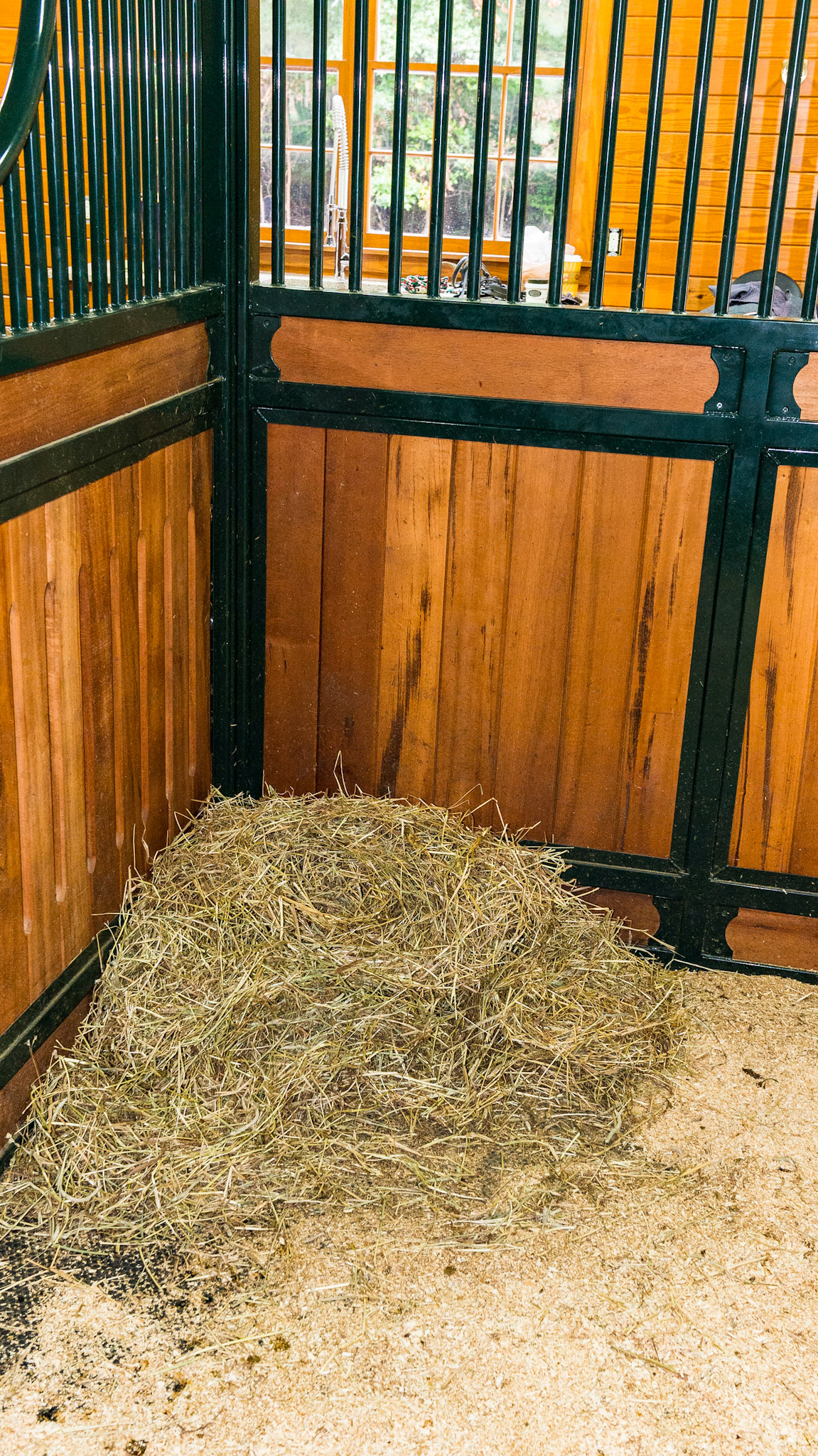 Hay fed on the floor in the clean stall